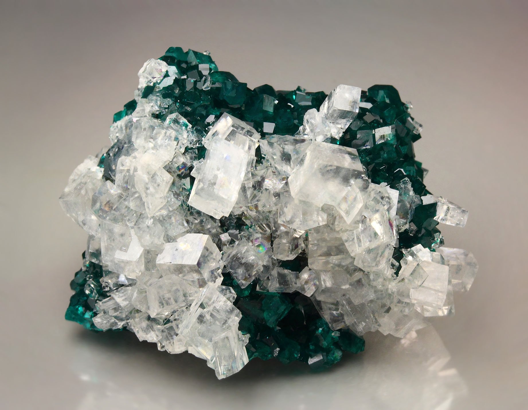 gemmy DIOPTASE, CALCITE