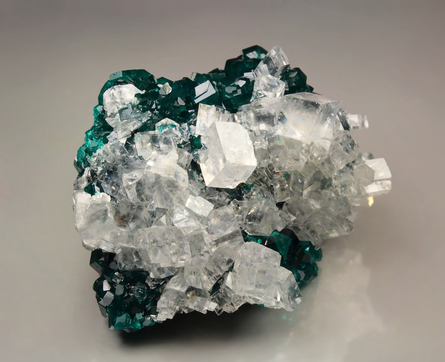 gemmy DIOPTASE, CALCITE