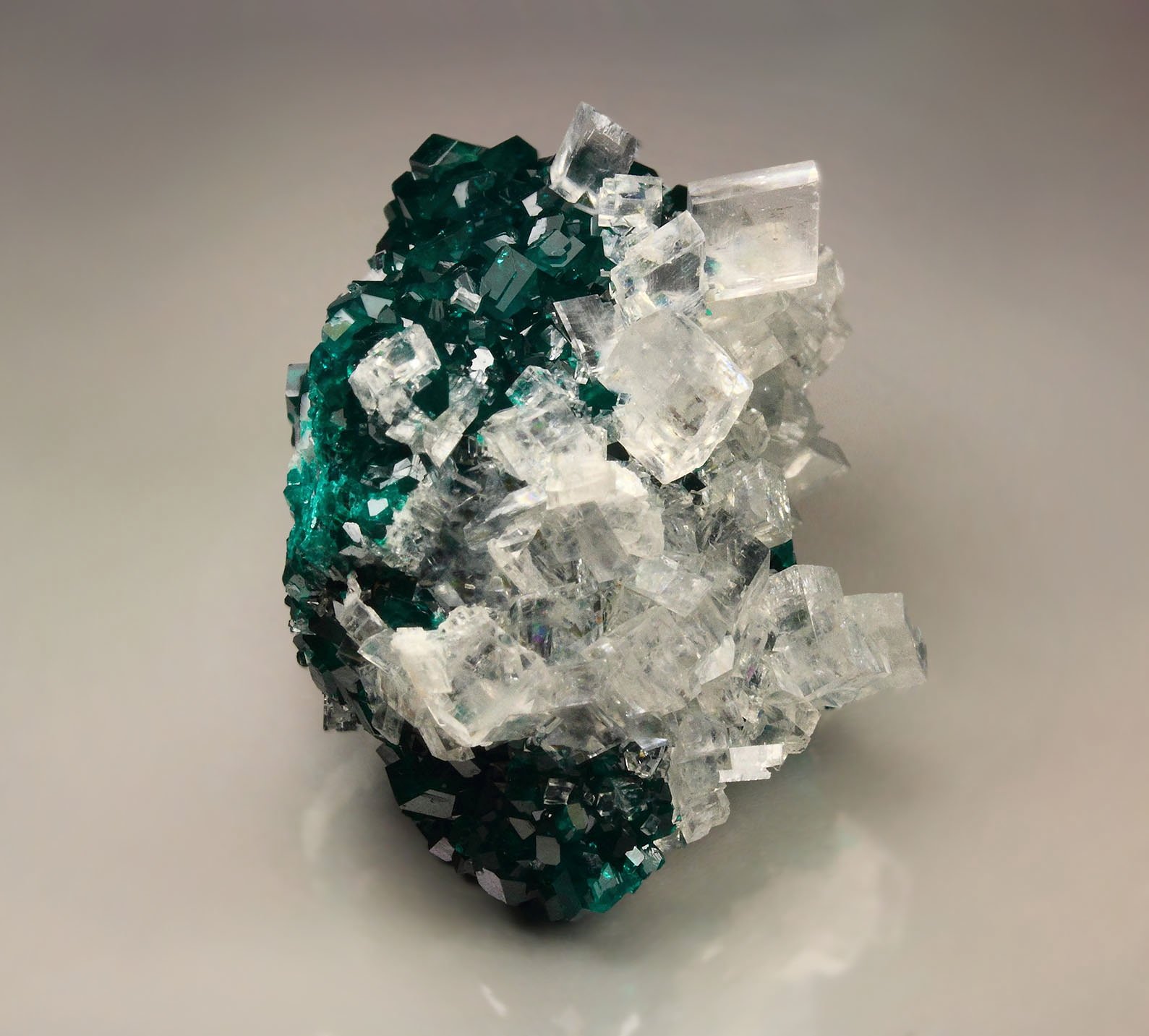 gemmy DIOPTASE, CALCITE