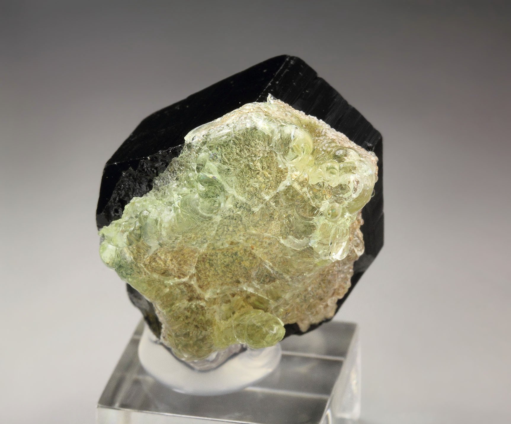 TOURMALINE var. SCHORL, fluorescent OPAL var. HYALITE