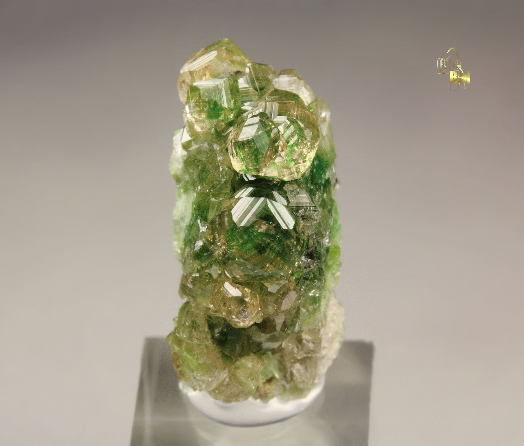 gem GARNET var. GROSSULAR with GREEN CHROMIAN PHANTOMS