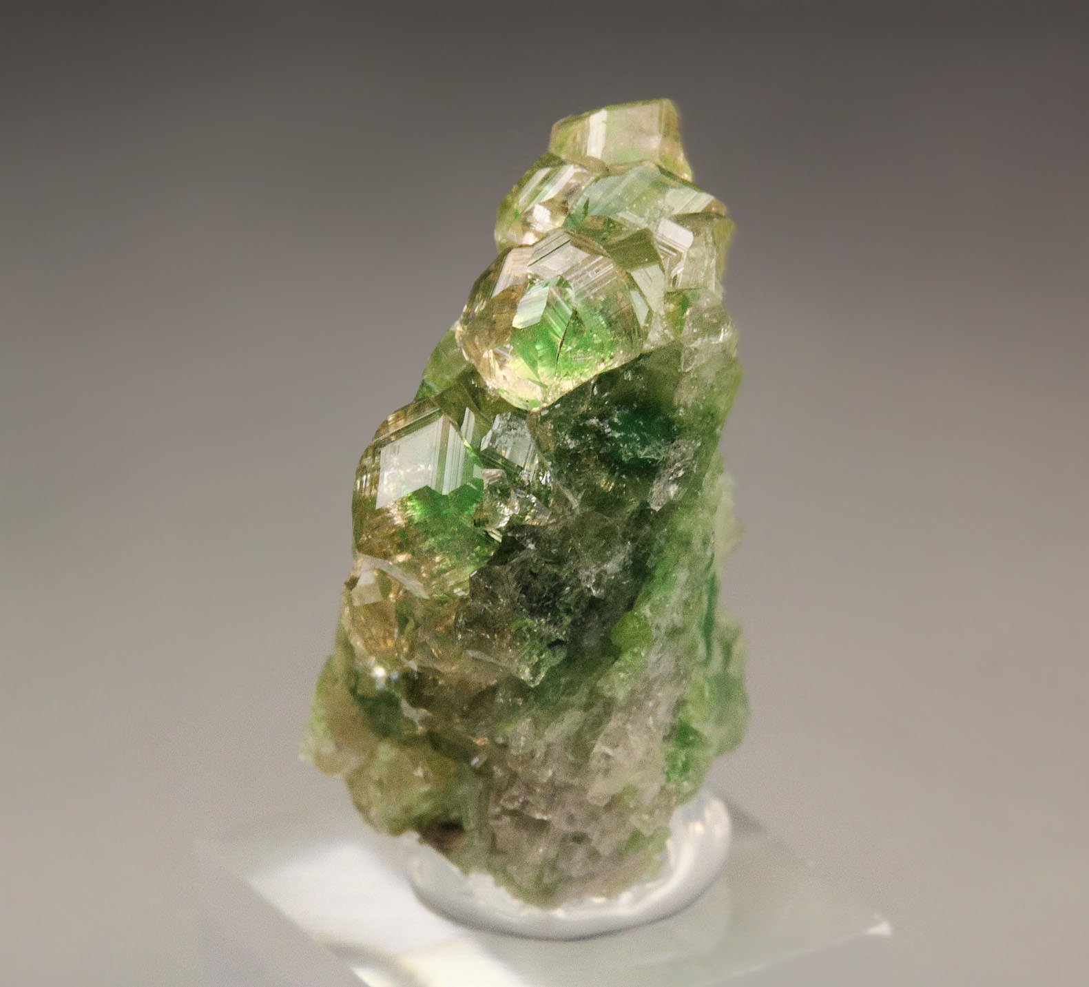 gem GARNET var. GROSSULAR with GREEN CHROMIAN PHANTOMS