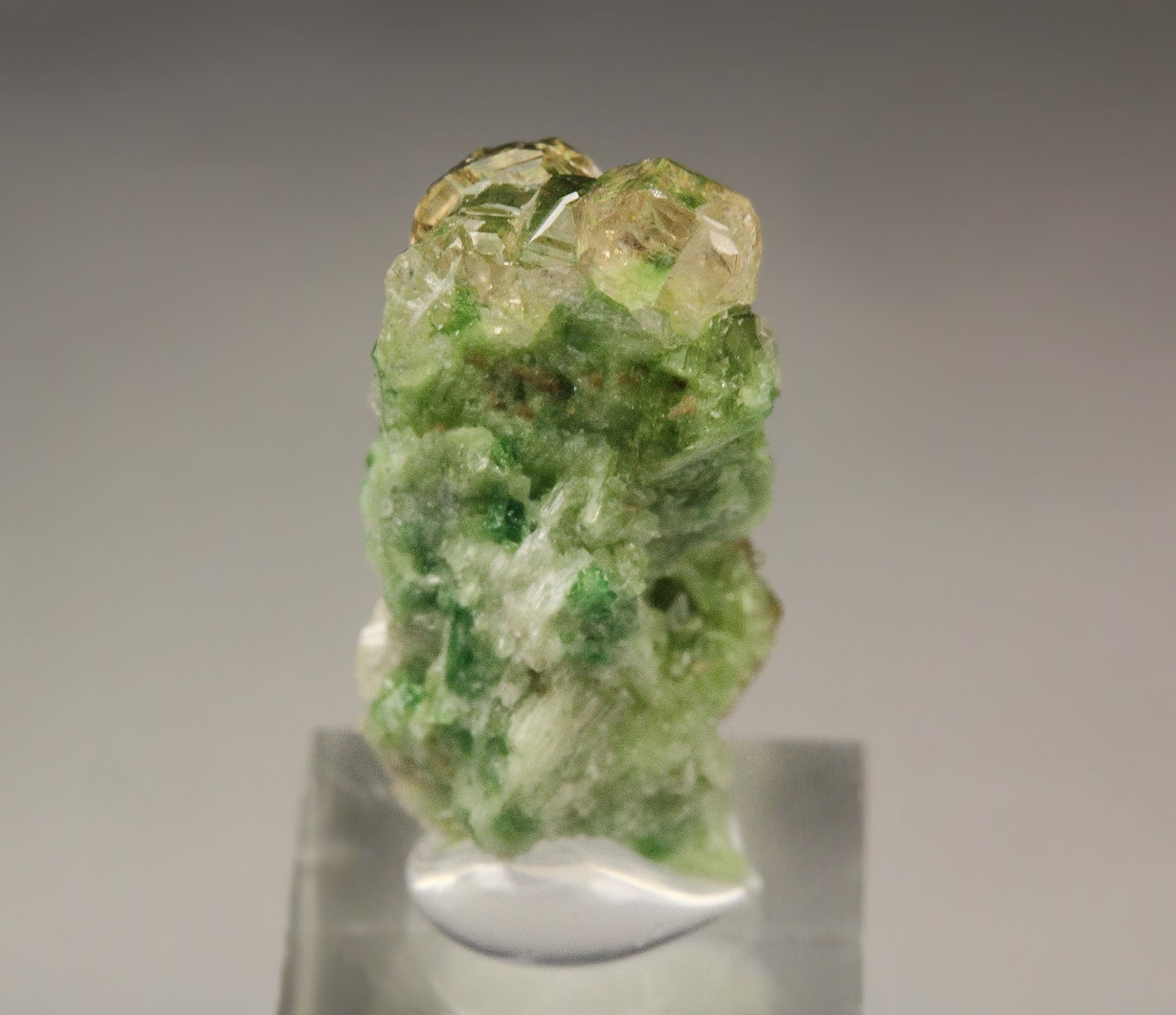 gem GARNET var. GROSSULAR with GREEN CHROMIAN PHANTOMS