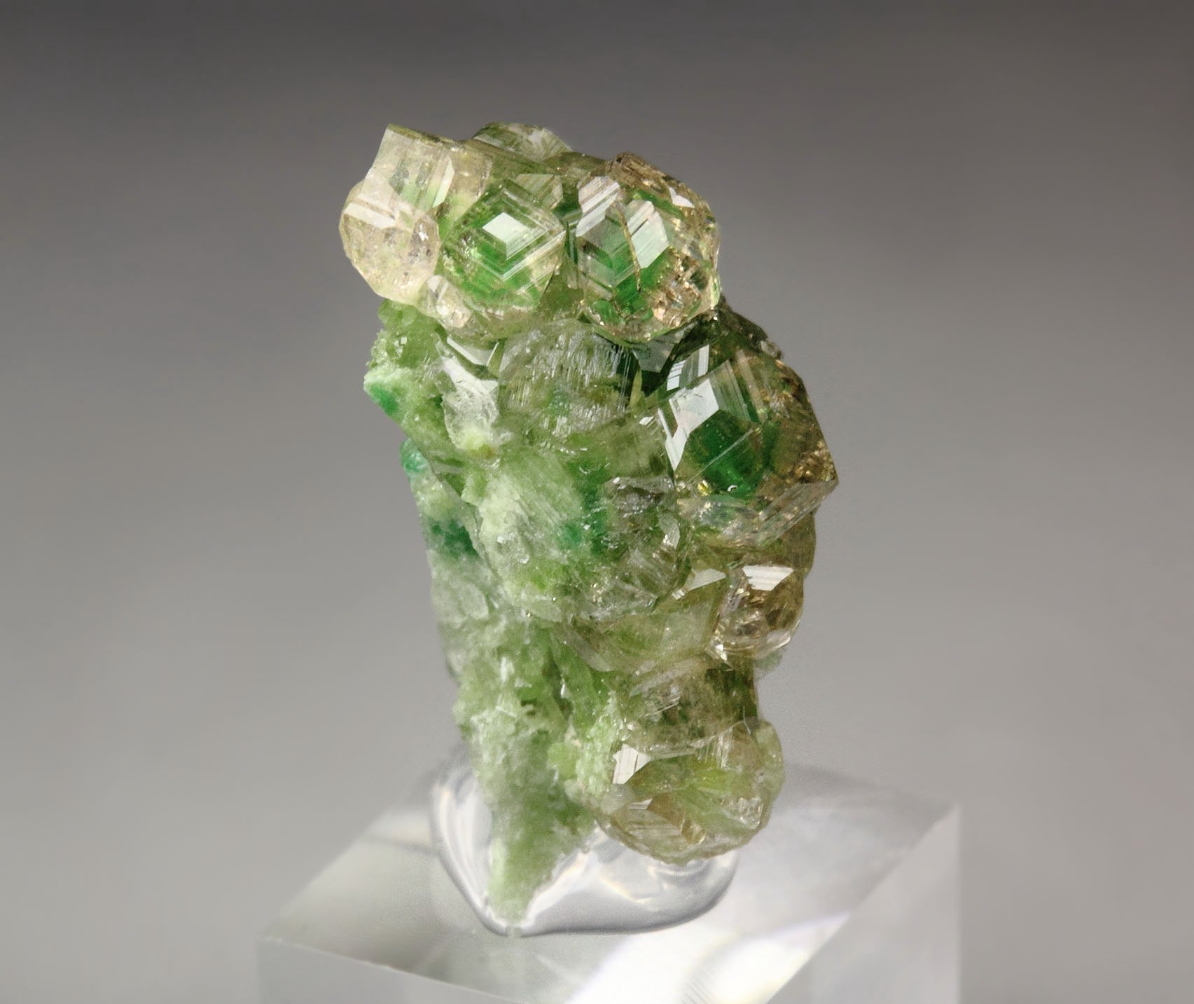 gem GARNET var. GROSSULAR with GREEN CHROMIAN PHANTOMS