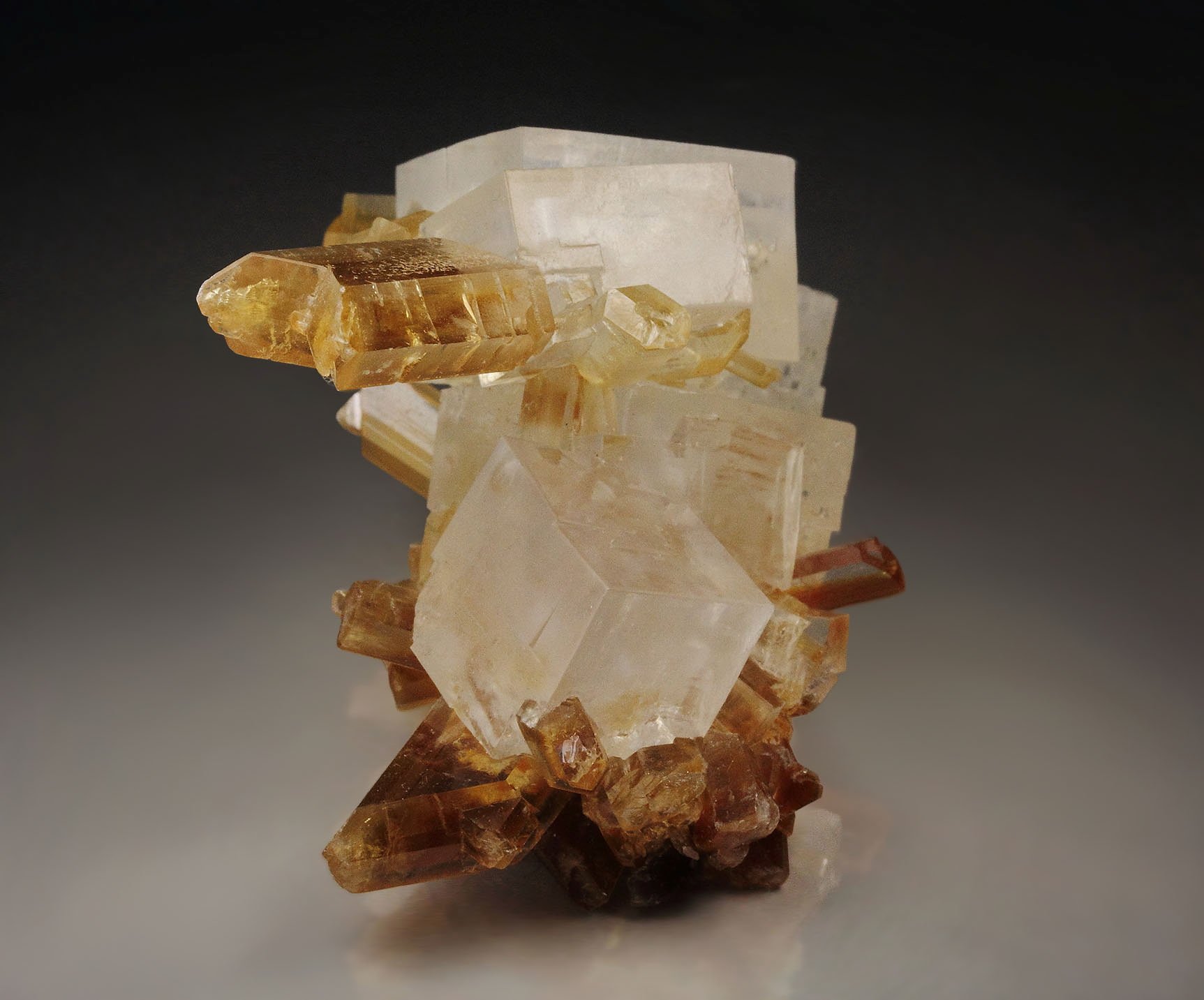 GYPSUM, HALITE