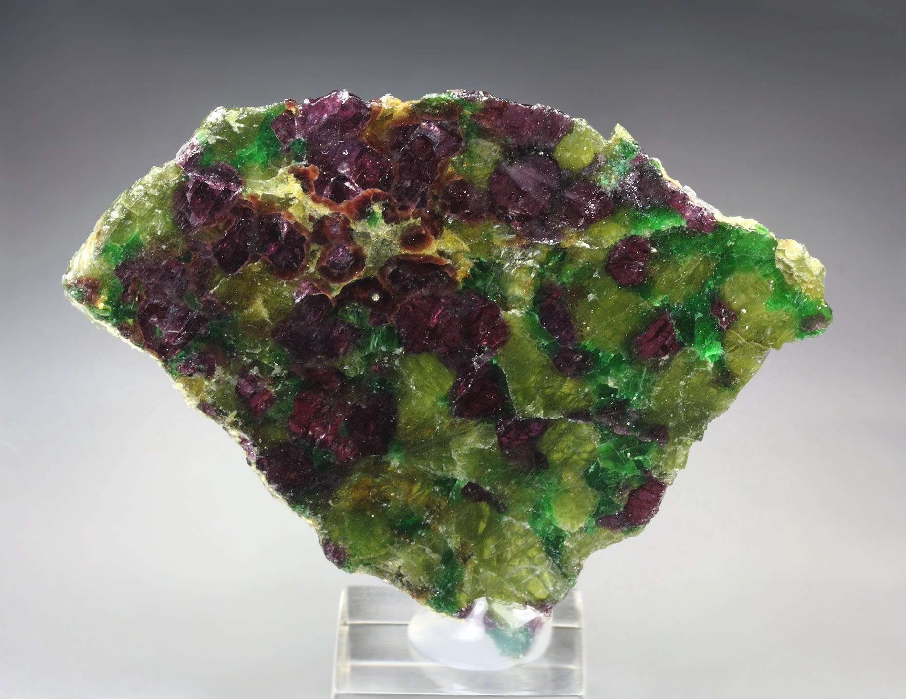 GARNET var. PYROPE, DIOPSIDE var. CHROMIUM-BEARING DIOPSIDE, ENSTATITE