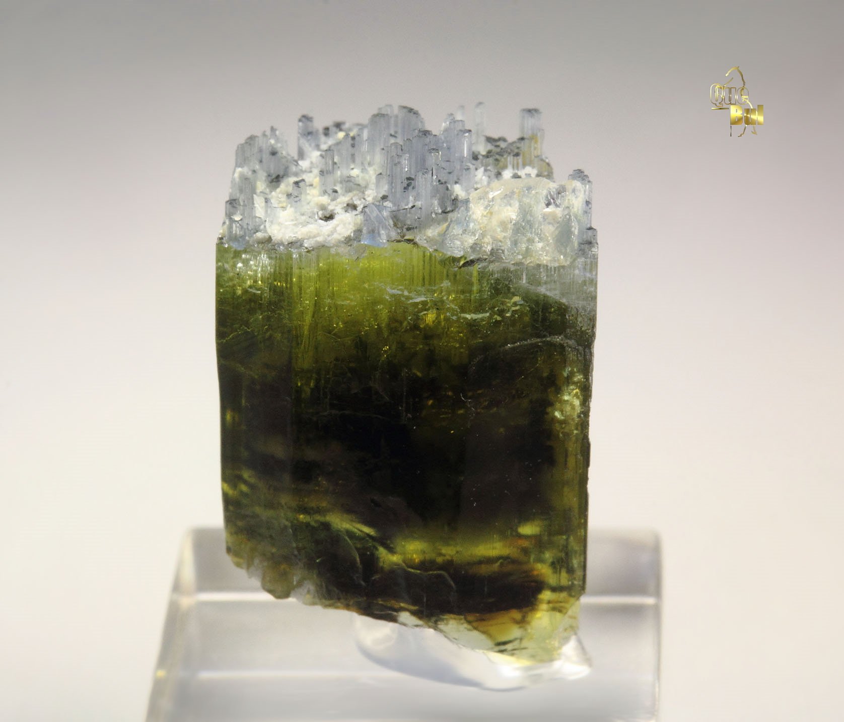 gem TOURMALINE var. ELBAITE two generations