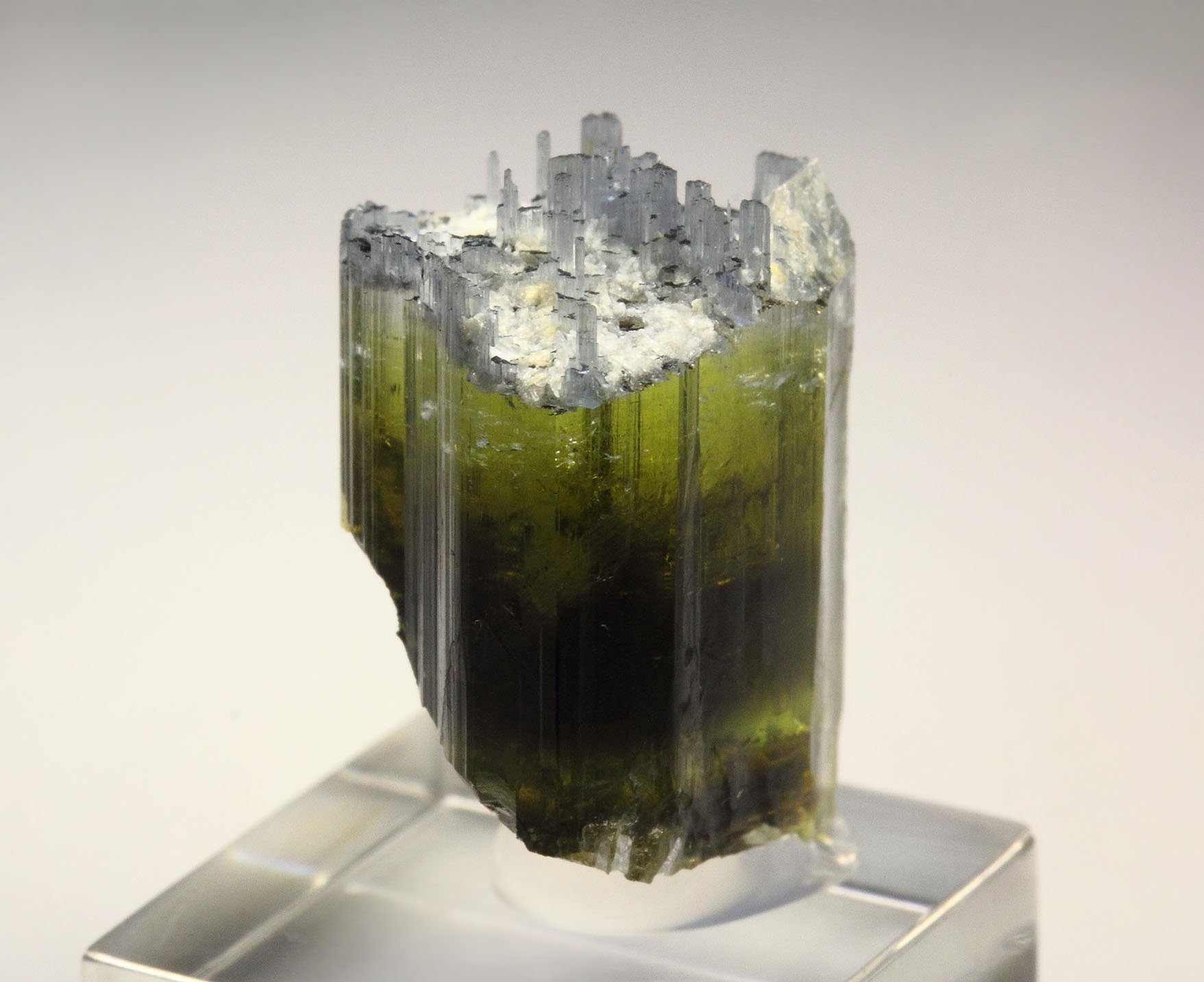gem TOURMALINE var. ELBAITE two generations