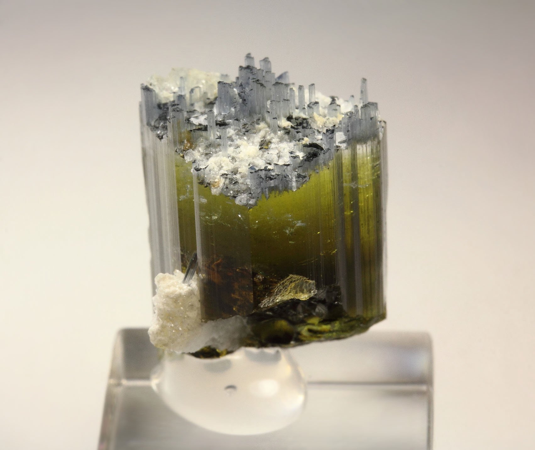 gem TOURMALINE var. ELBAITE two generations