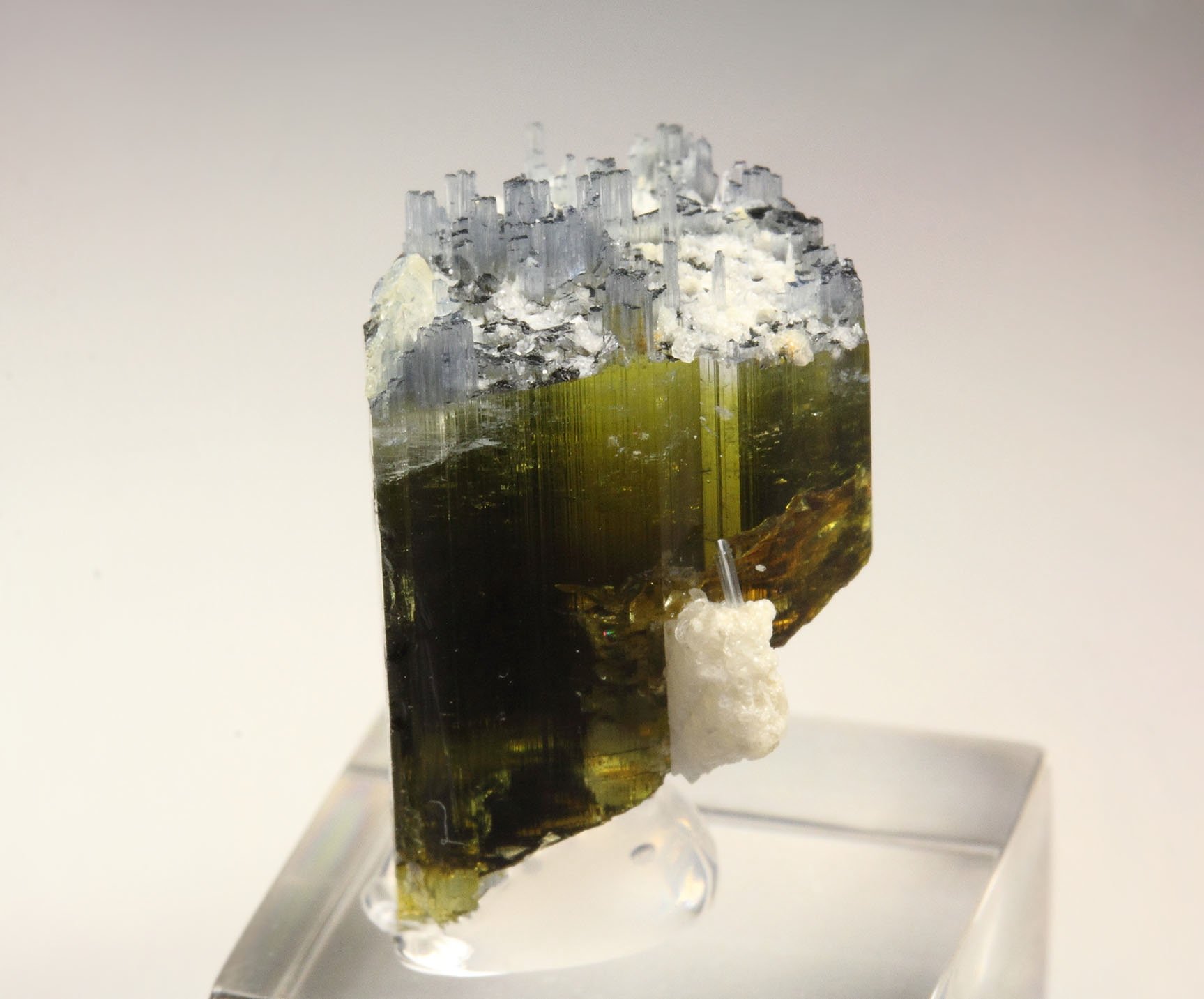 gem TOURMALINE var. ELBAITE two generations