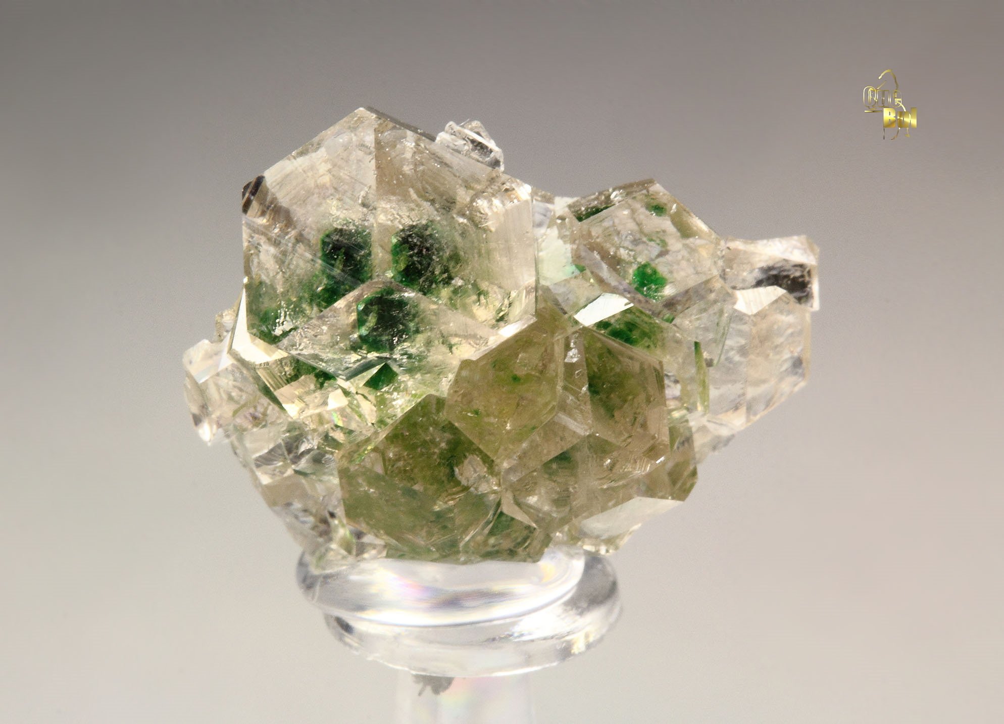 gem GARNET var. GROSSULAR with GREEN CHROMIAN PHANTOMS