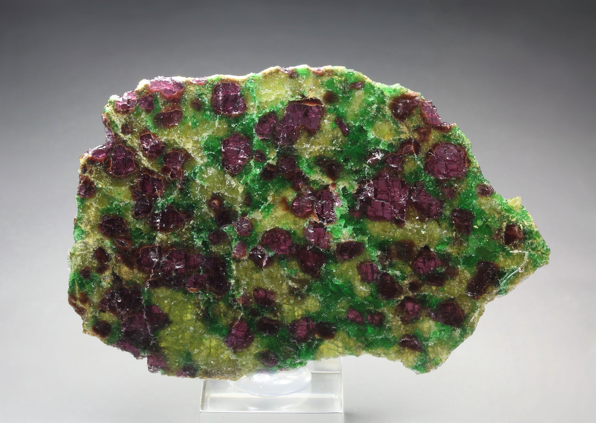 GARNET var. PYROPE, DIOPSIDE var. CHROMIUM-BEARING DIOPSIDE, ENSTATITE