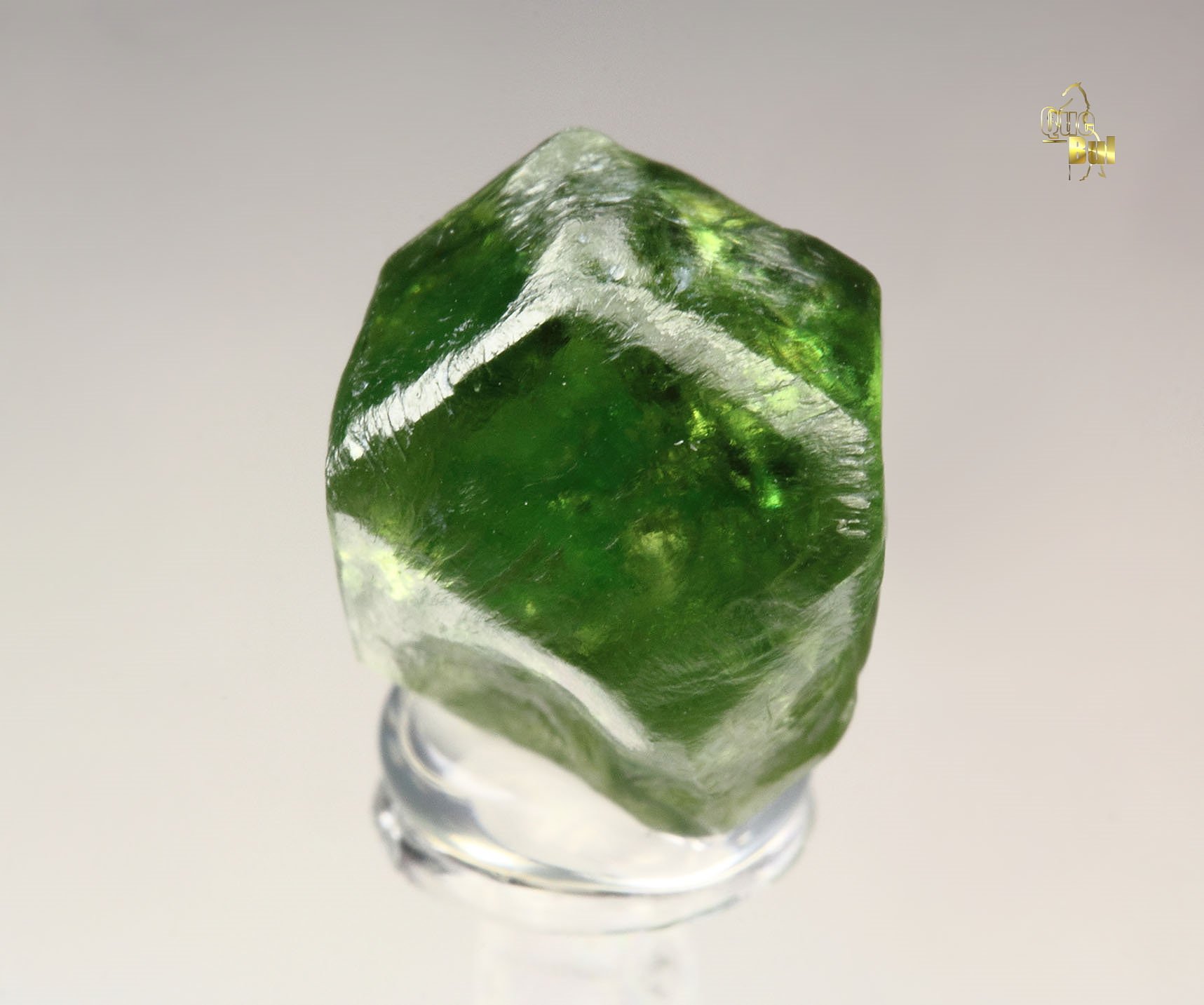 gemmy GARNET var. ANDRADITE var. DEMANTOID