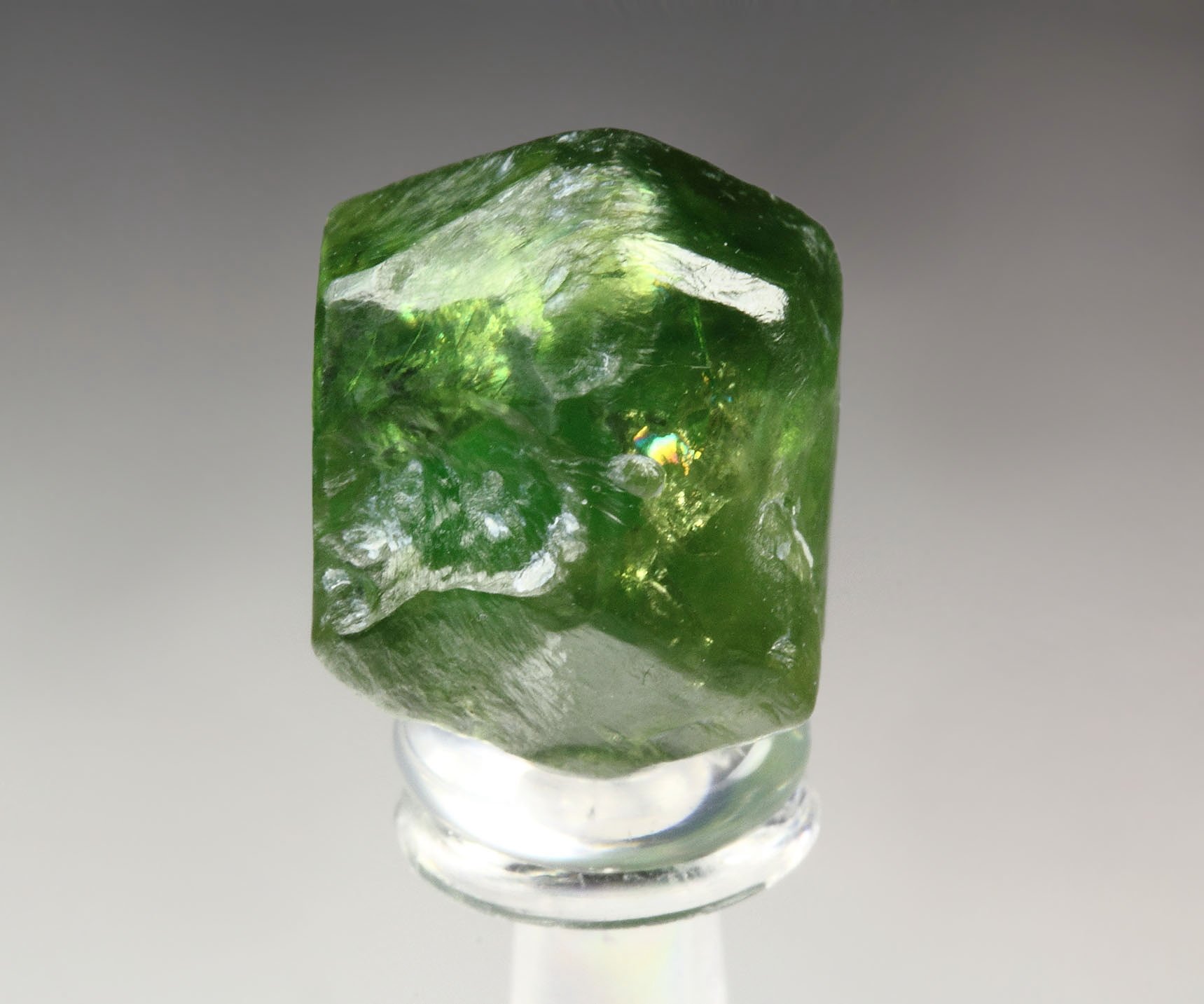 gemmy GARNET var. ANDRADITE var. DEMANTOID