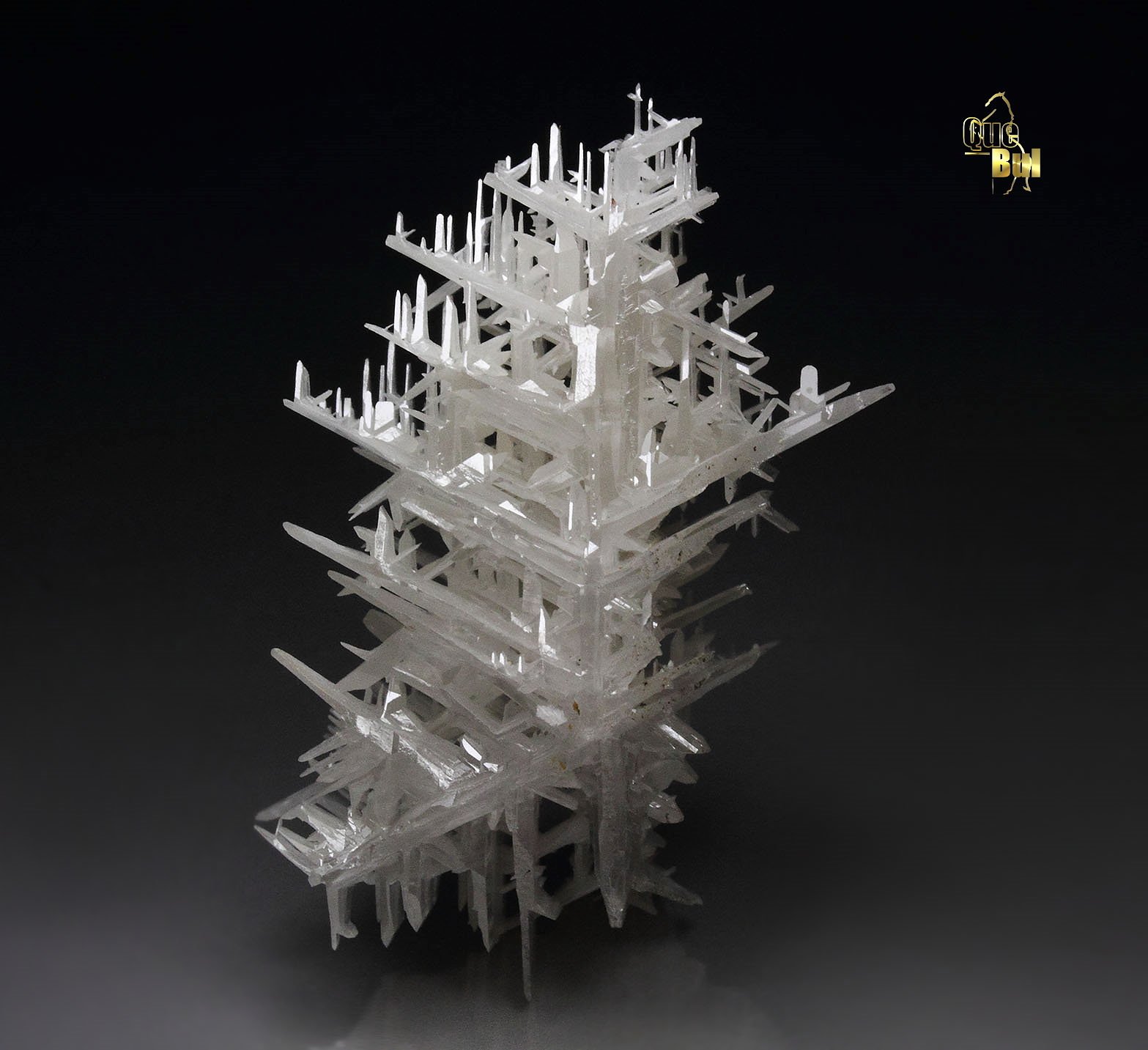 reticulated CERUSSITE