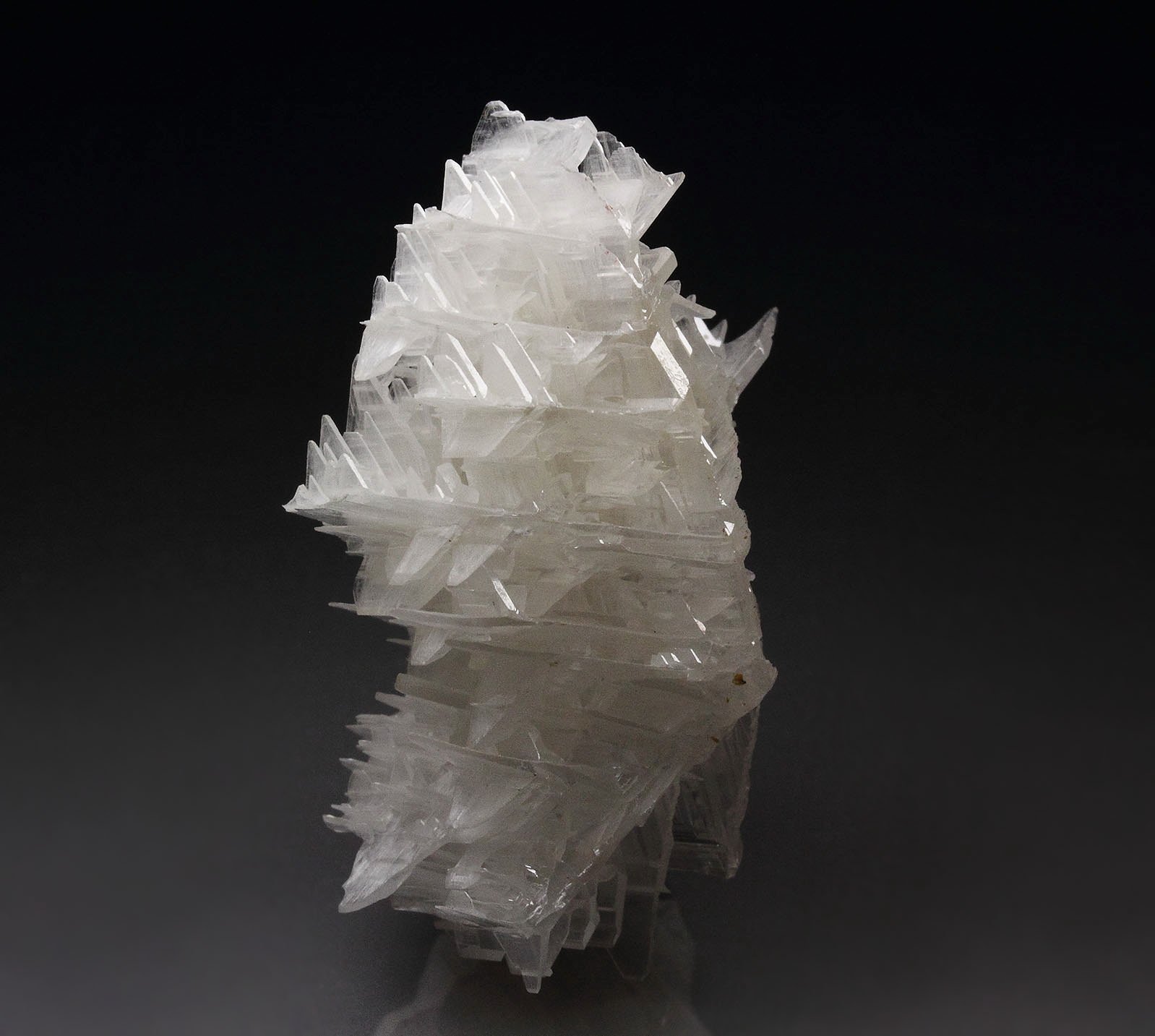 reticulated CERUSSITE