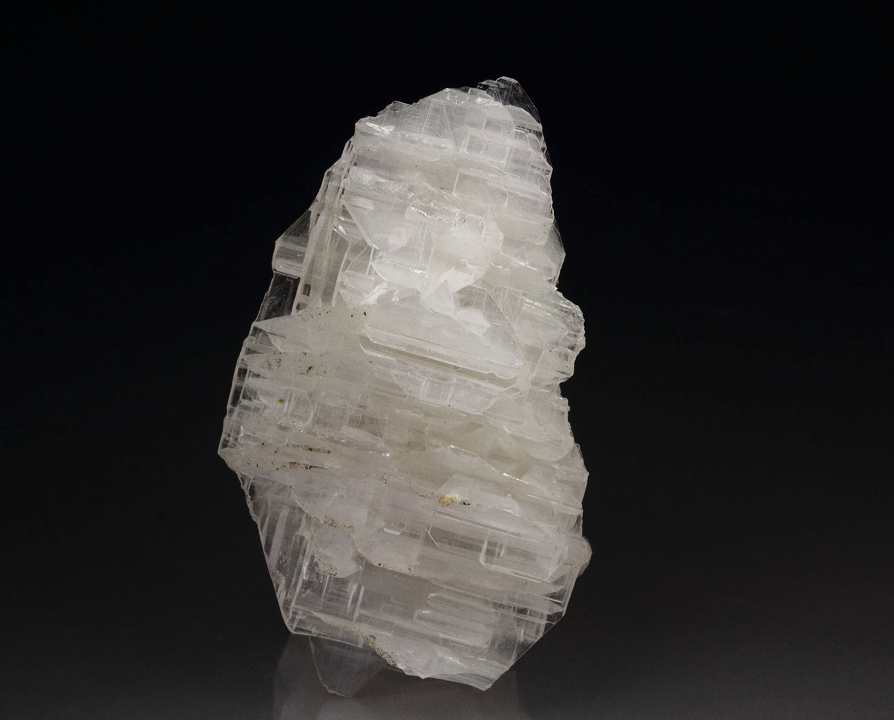 reticulated CERUSSITE