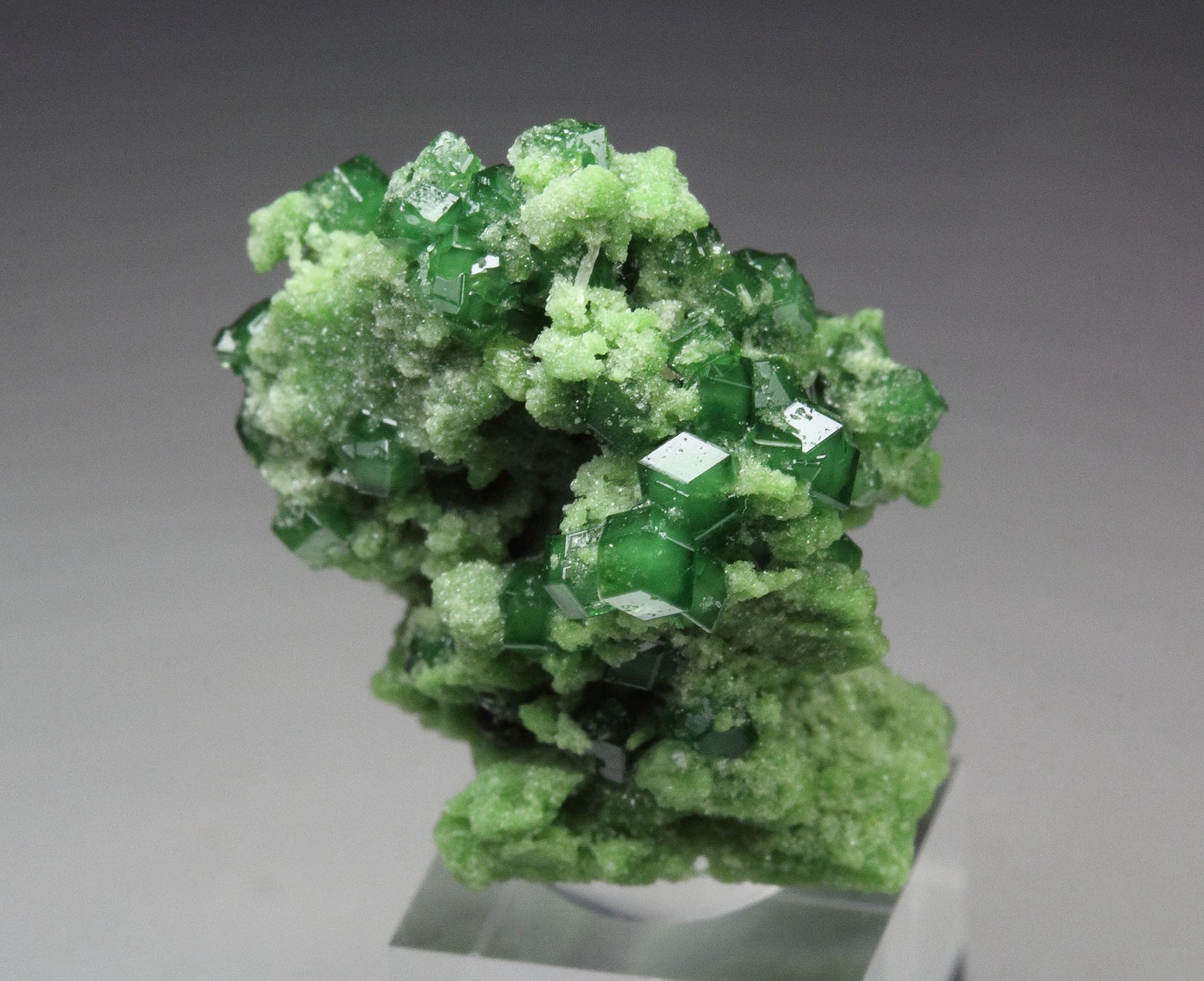 gem GARNET var. GROSSULAR var. CHROMIAN, DIOPSIDE