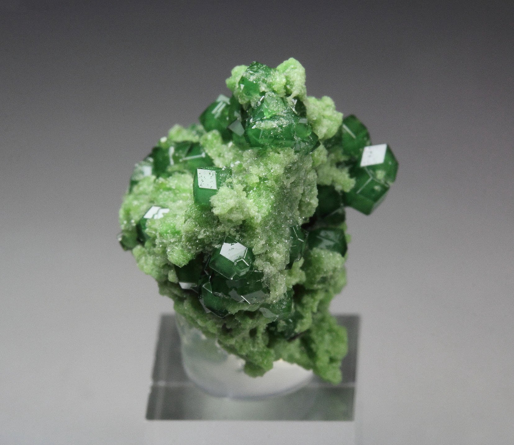 gem GARNET var. GROSSULAR var. CHROMIAN, DIOPSIDE