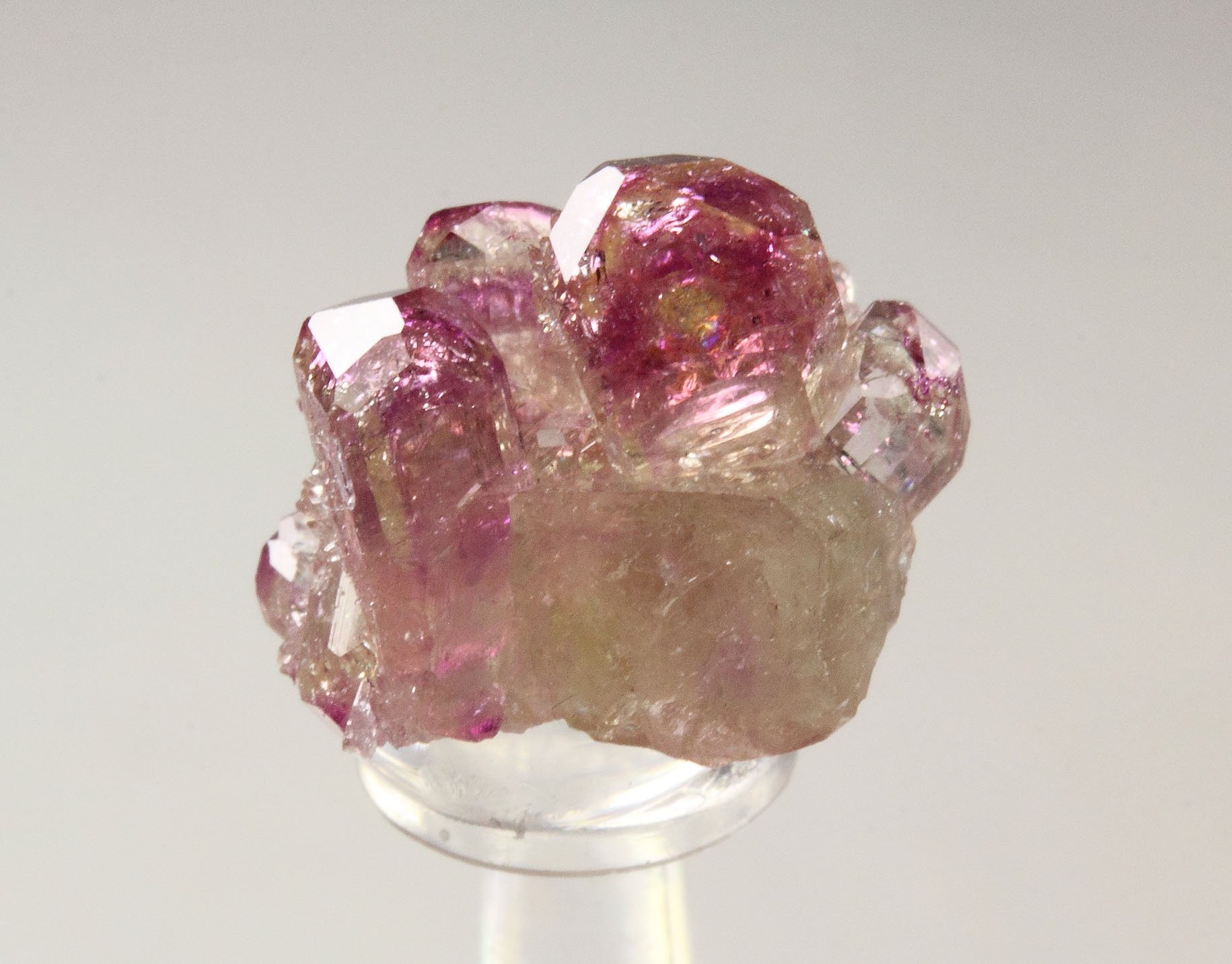 gem VESUVIANITE with RASPBERRY CAPS