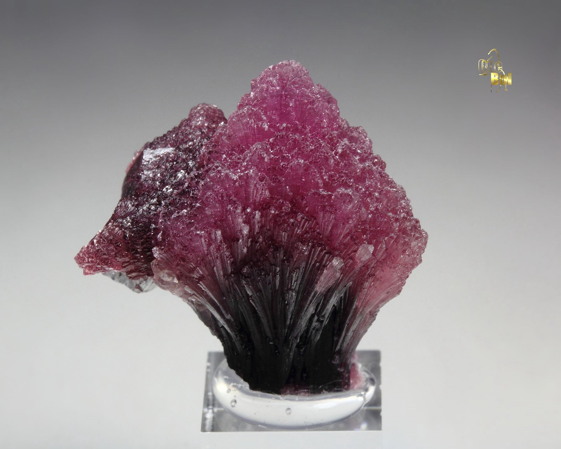 TOURMALINE var. RUBELLITE