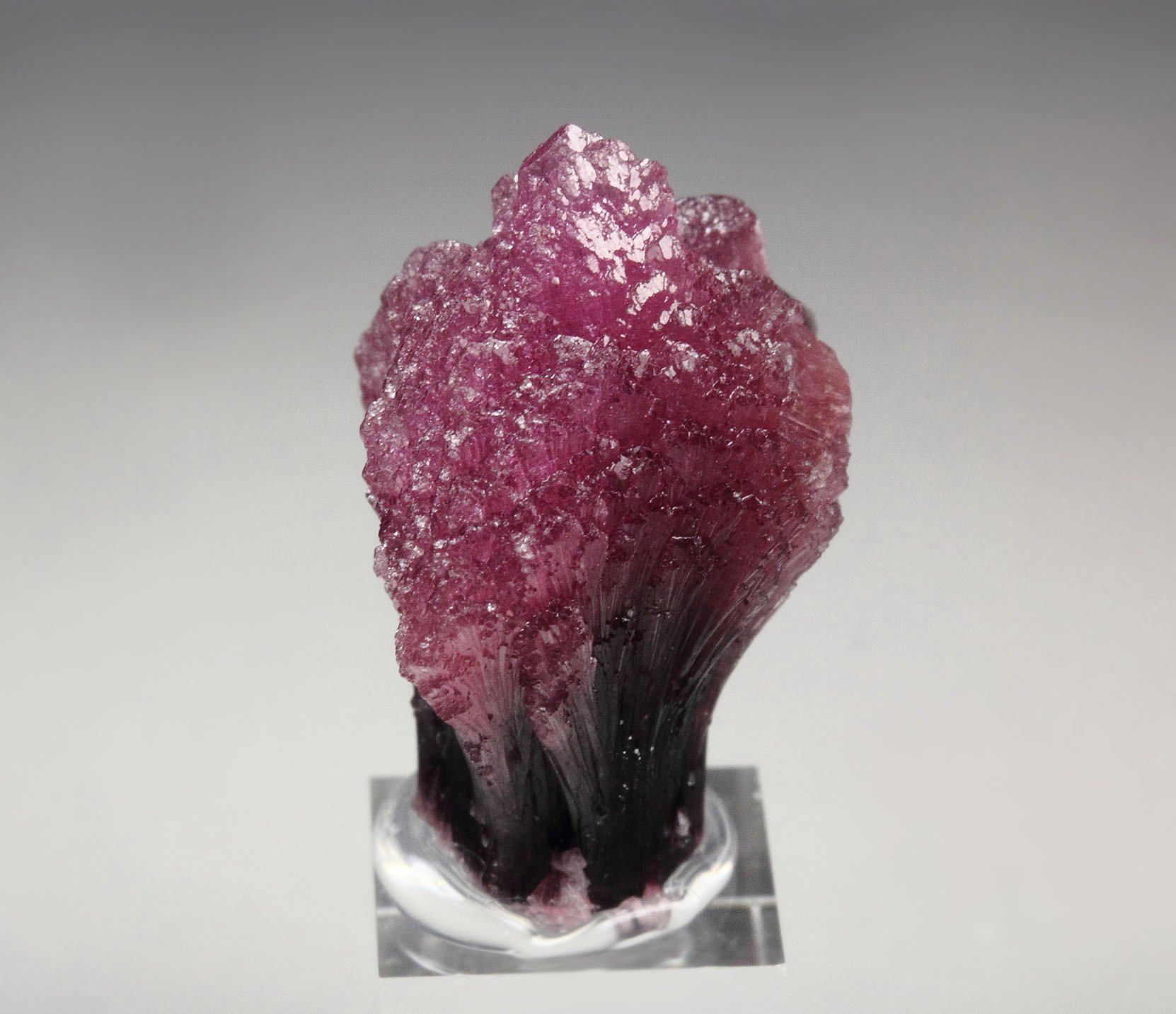 TOURMALINE var. RUBELLITE