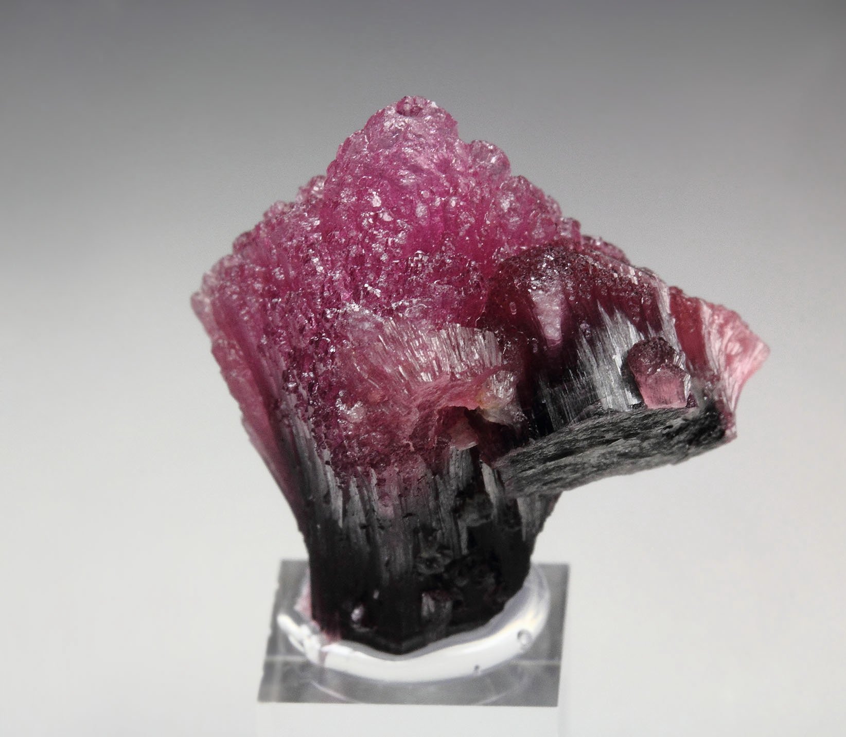 TOURMALINE var. RUBELLITE