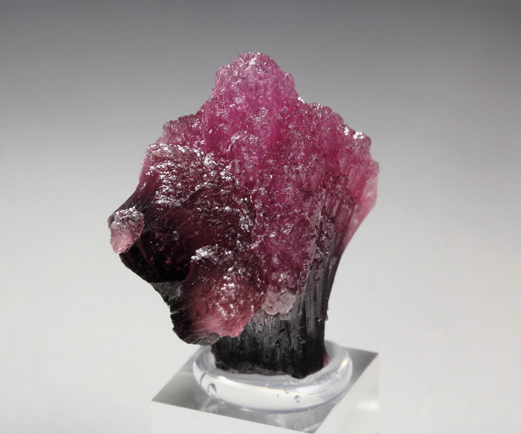 TOURMALINE var. RUBELLITE