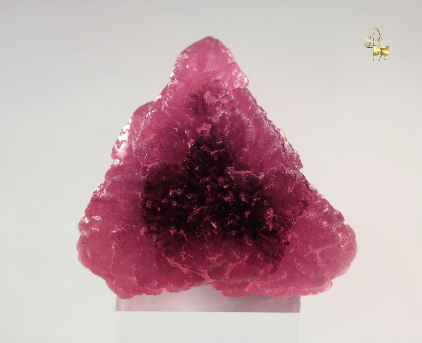 TOURMALINE var. RUBELLITE - floater