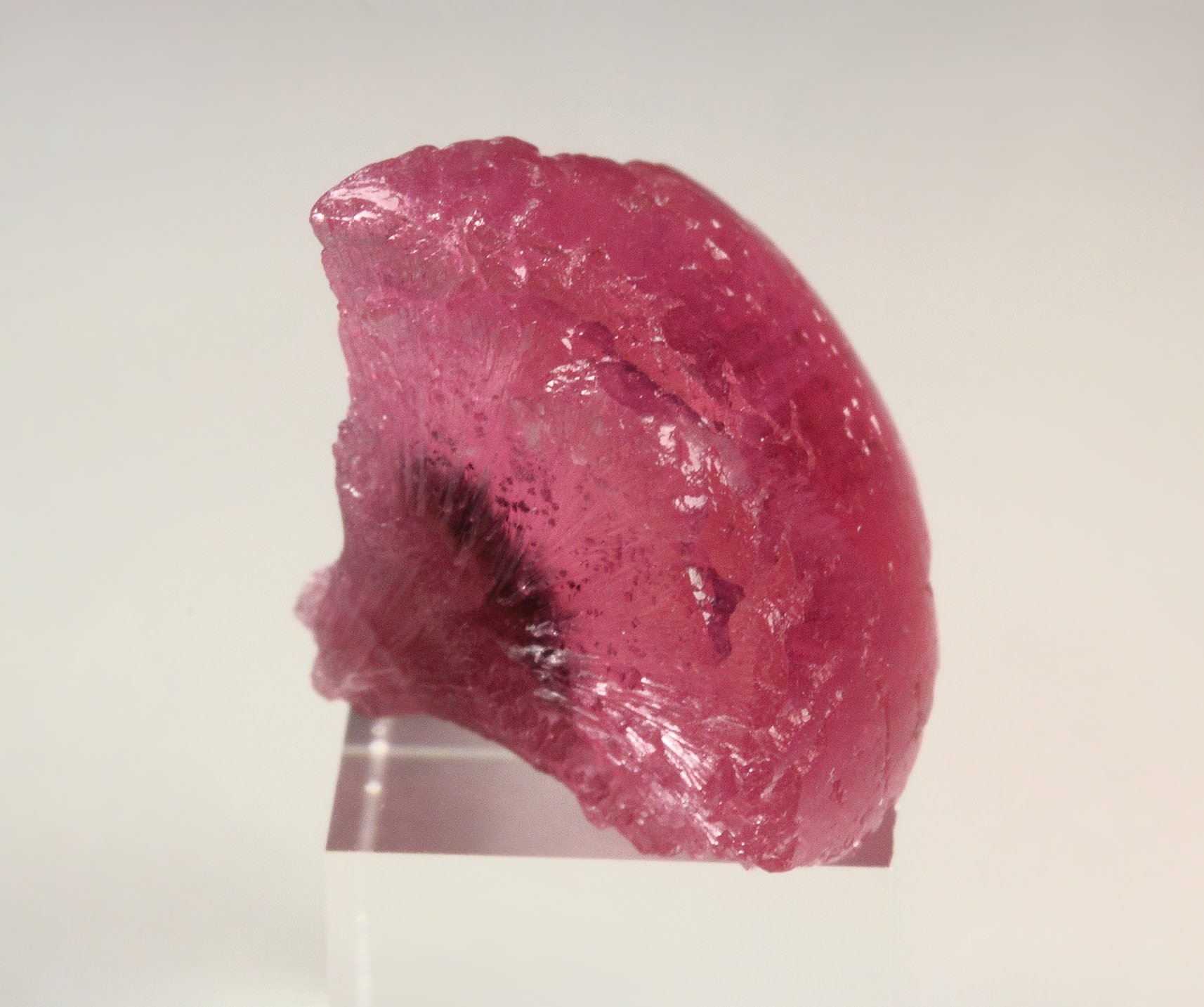 TOURMALINE var. RUBELLITE - floater