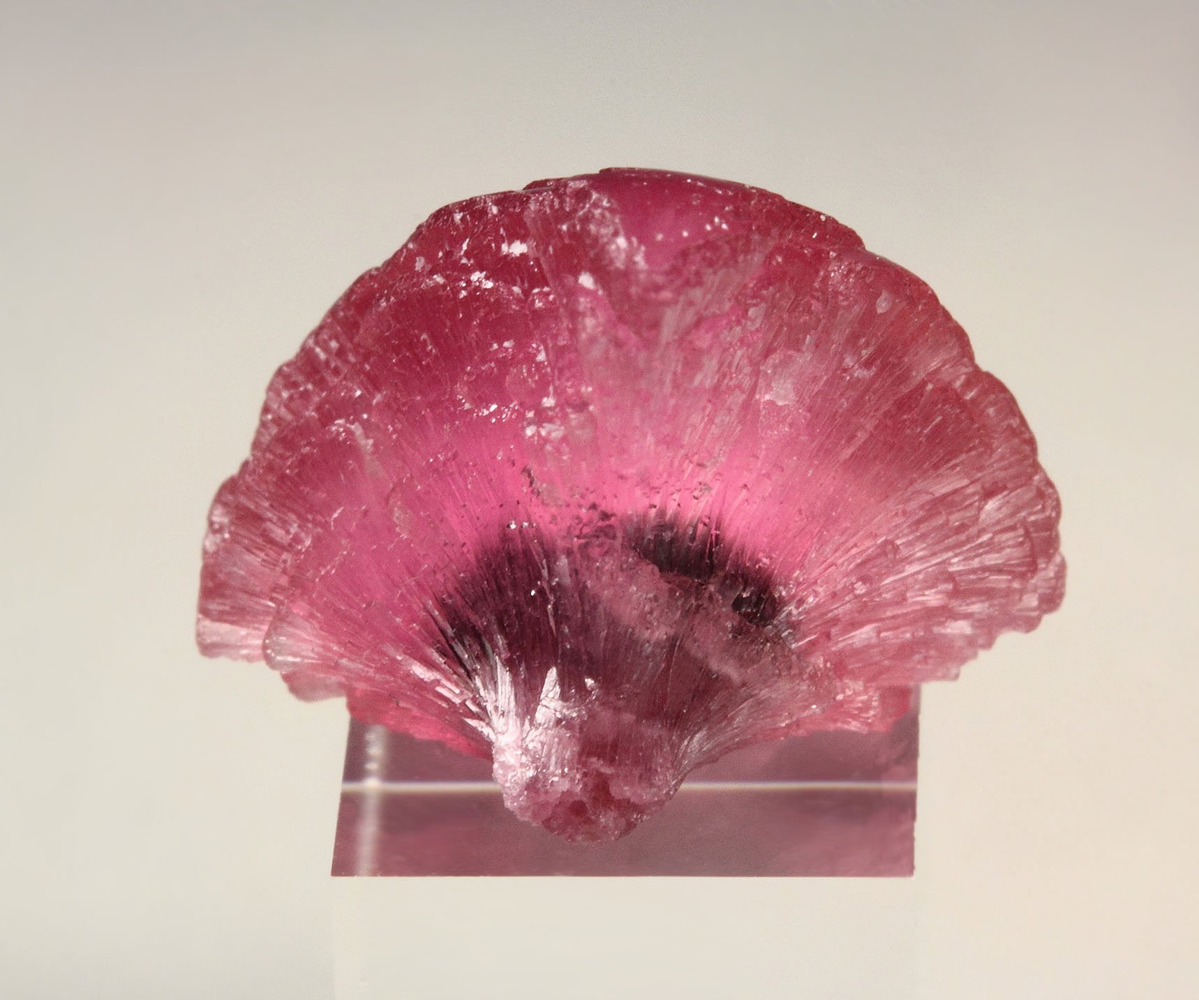 TOURMALINE var. RUBELLITE - floater