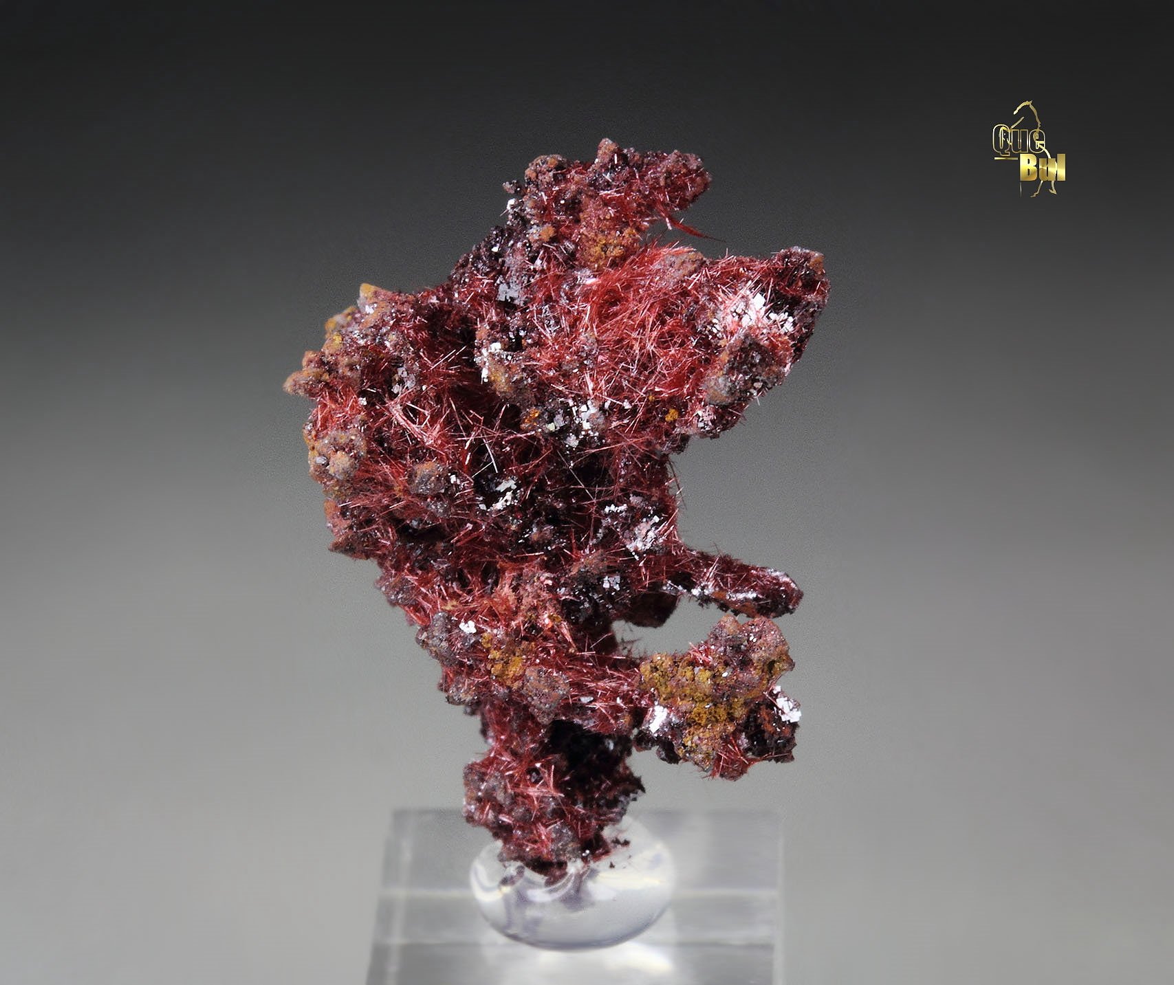 CUPRITE var. CHALCOTRICHITE, CUPRITE 