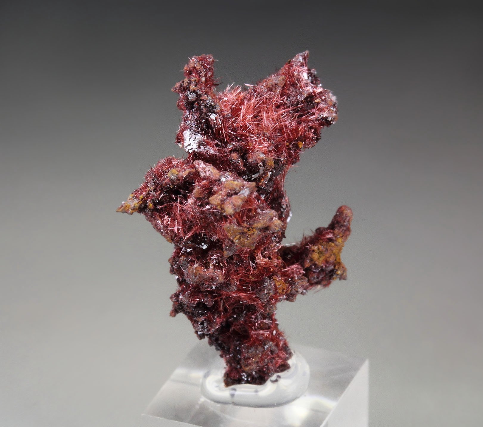 CUPRITE var. CHALCOTRICHITE, CUPRITE 