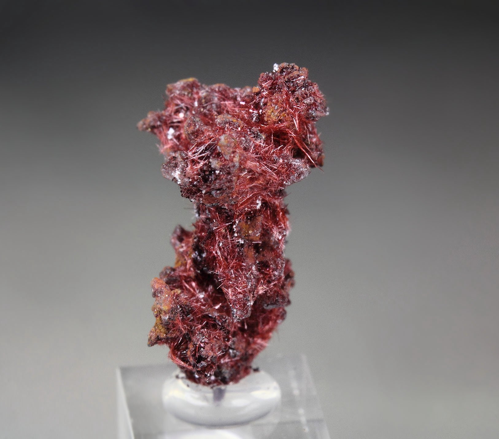 CUPRITE var. CHALCOTRICHITE, CUPRITE 