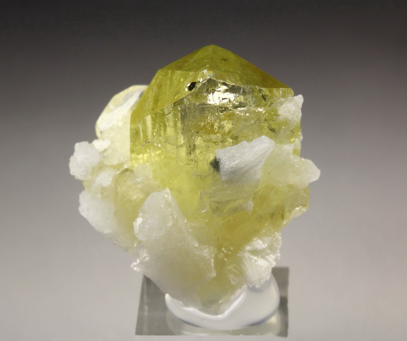 gem BRAZILIANITE, ALBITE