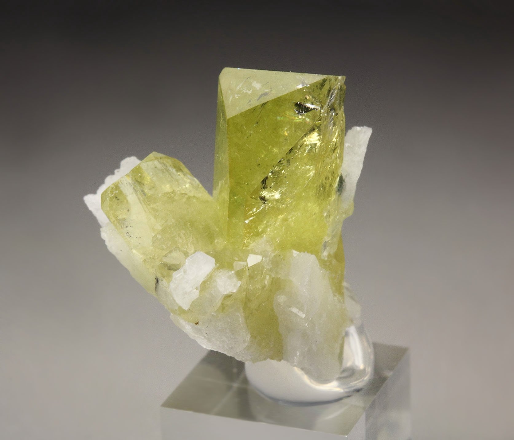 gem BRAZILIANITE, ALBITE