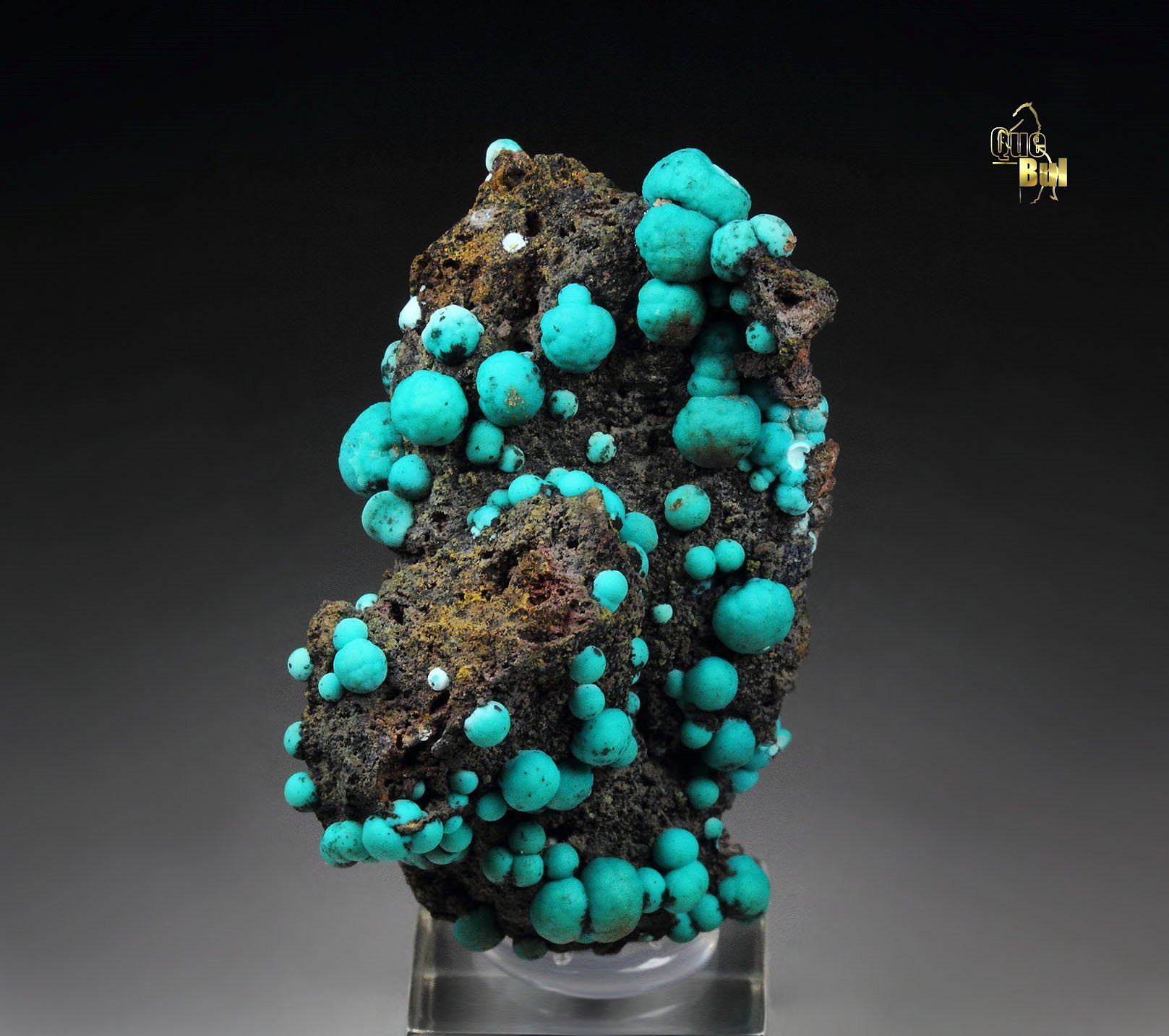 CHRYSOCOLLA