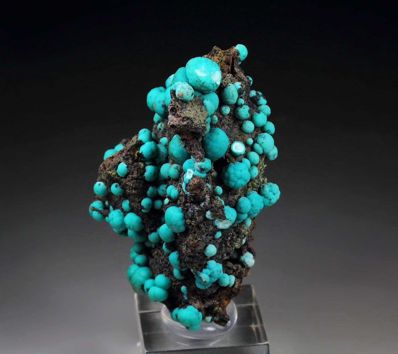 CHRYSOCOLLA