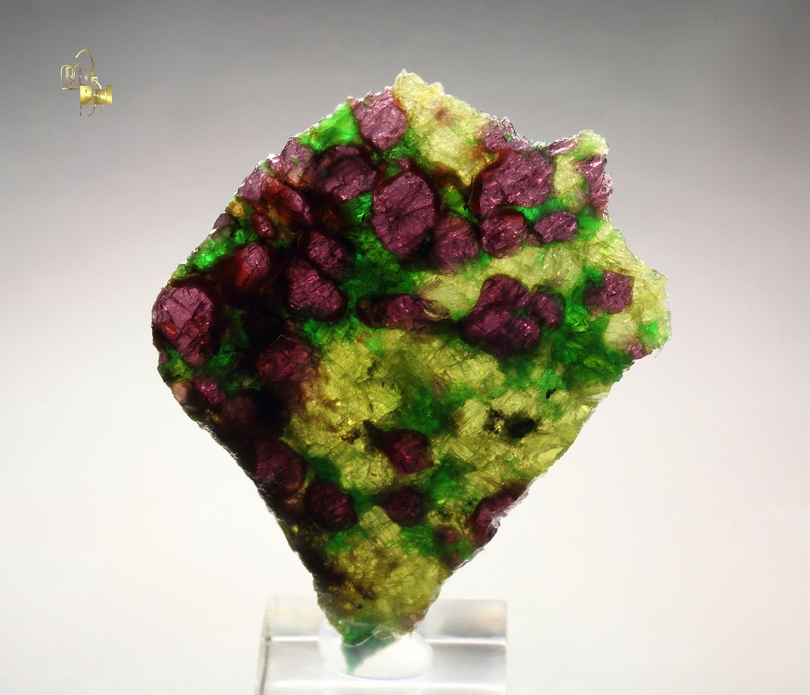 GARNET var. PYROPE, DIOPSIDE var. CHROMIUM-BEARING DIOPSIDE, ENSTATITE