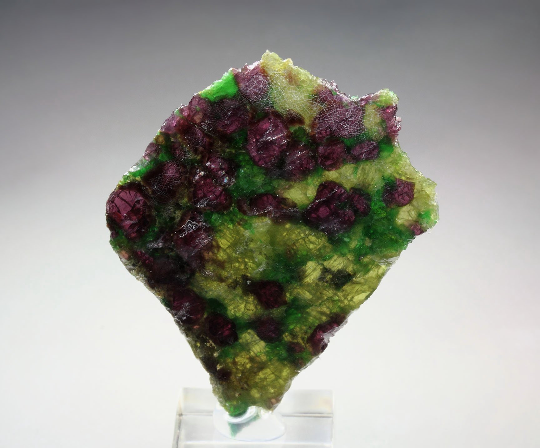 GARNET var. PYROPE, DIOPSIDE var. CHROMIUM-BEARING DIOPSIDE, ENSTATITE