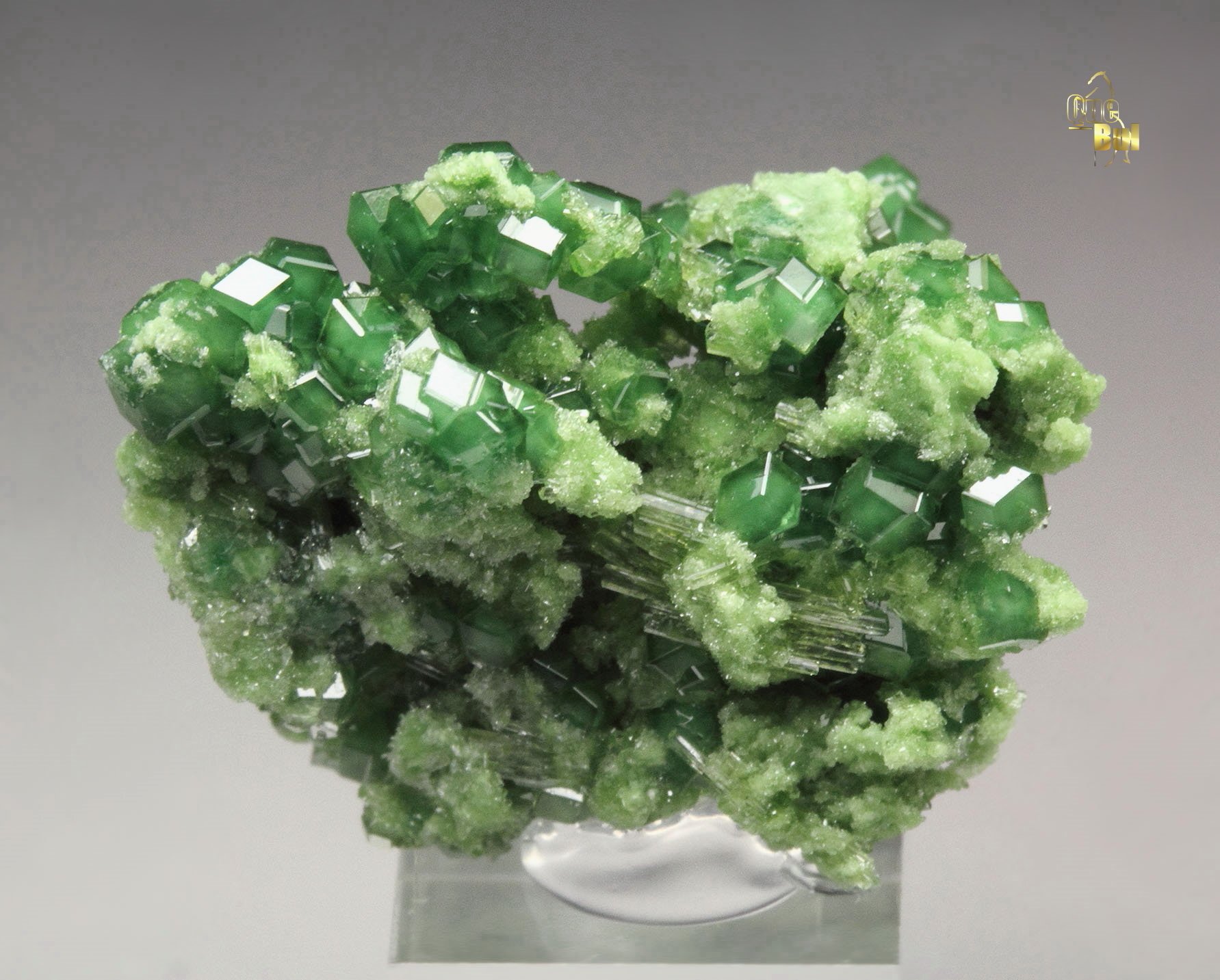 gem GARNET var. GROSSULAR var. CHROMIAN, DIOPSIDE