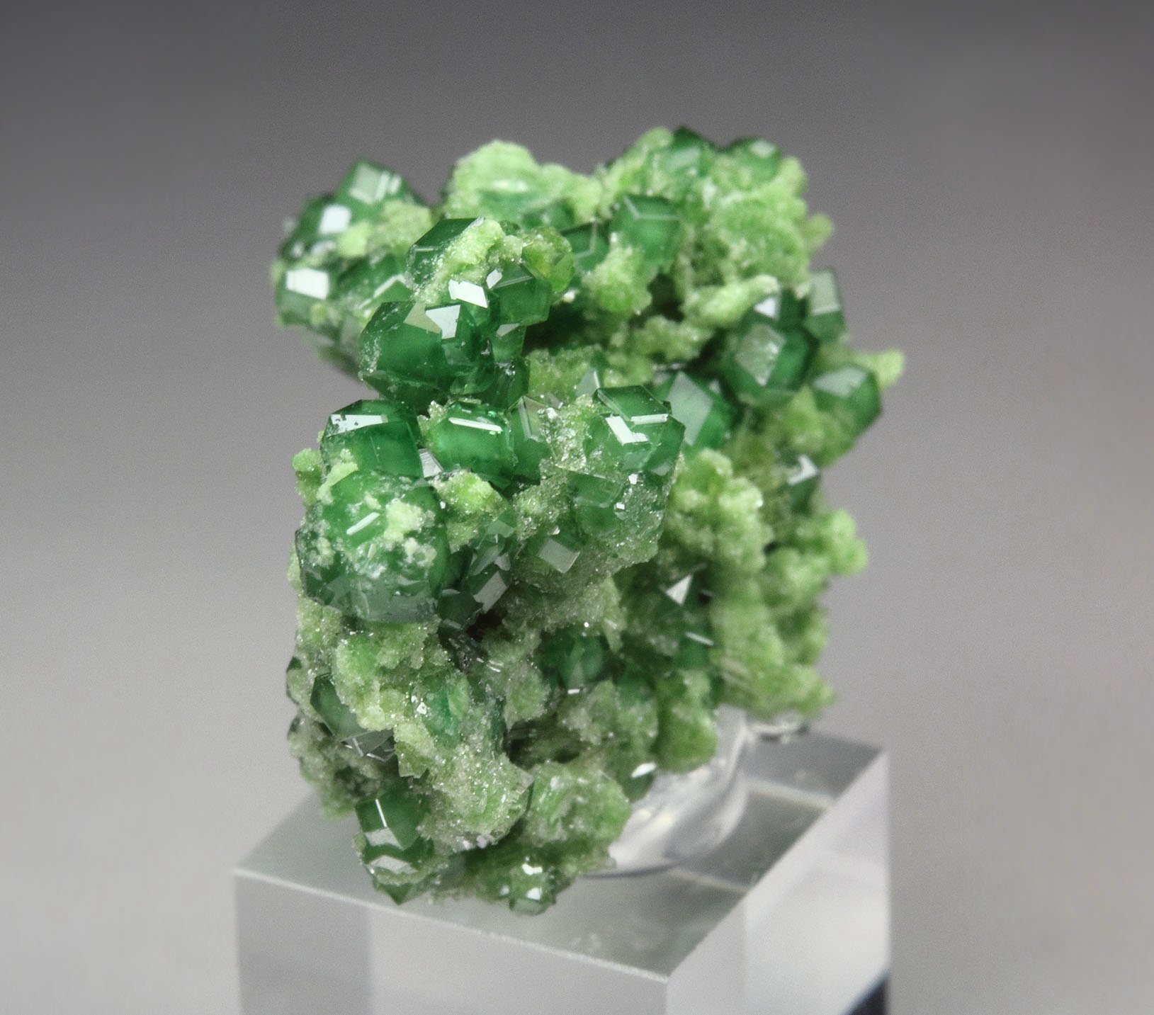 gem GARNET var. GROSSULAR var. CHROMIAN, DIOPSIDE