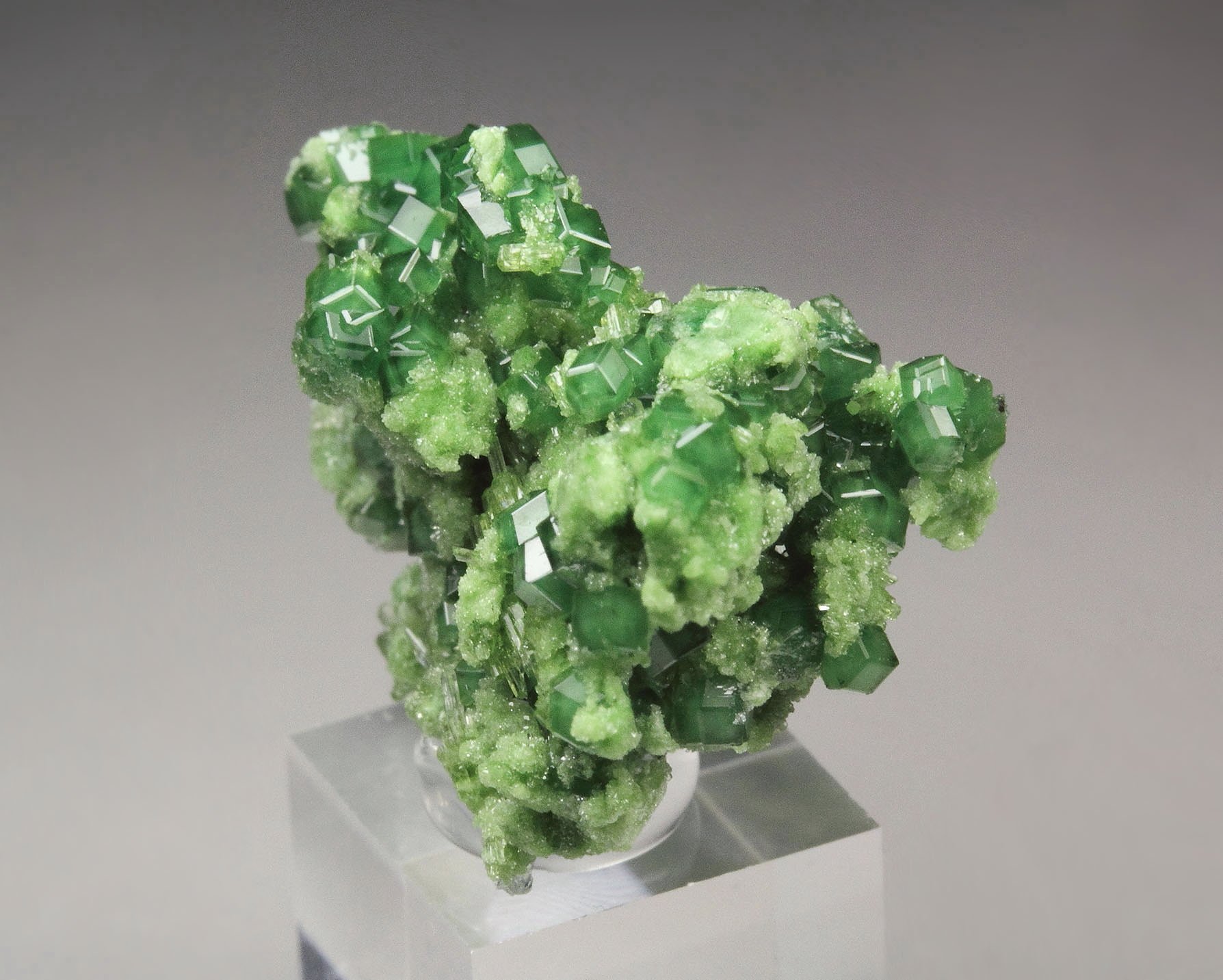 gem GARNET var. GROSSULAR var. CHROMIAN, DIOPSIDE