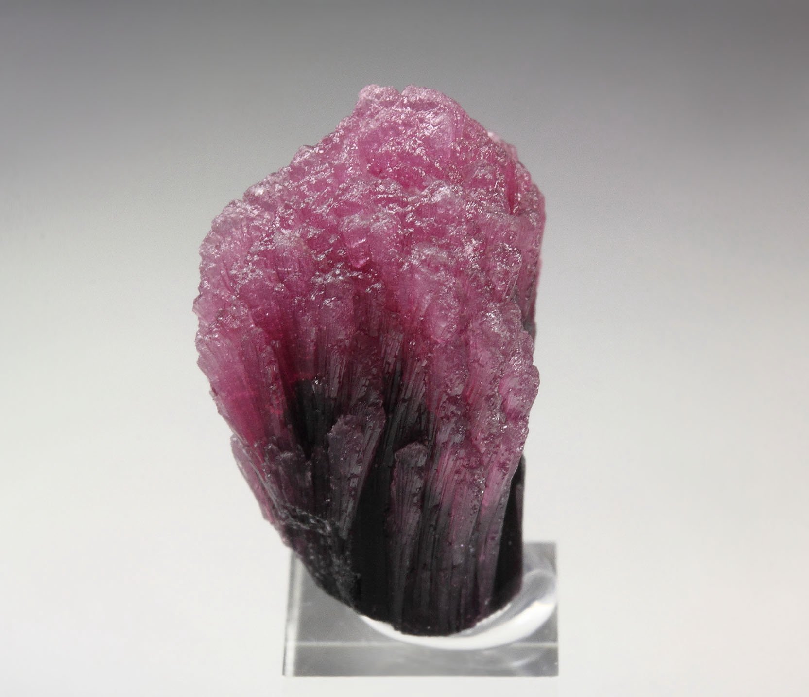 TOURMALINE var. RUBELLITE