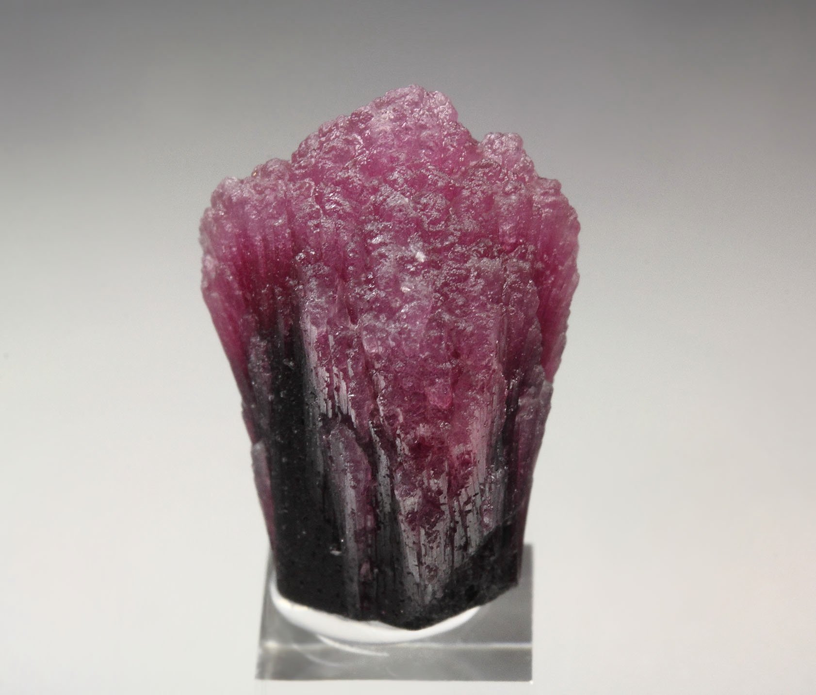 TOURMALINE var. RUBELLITE