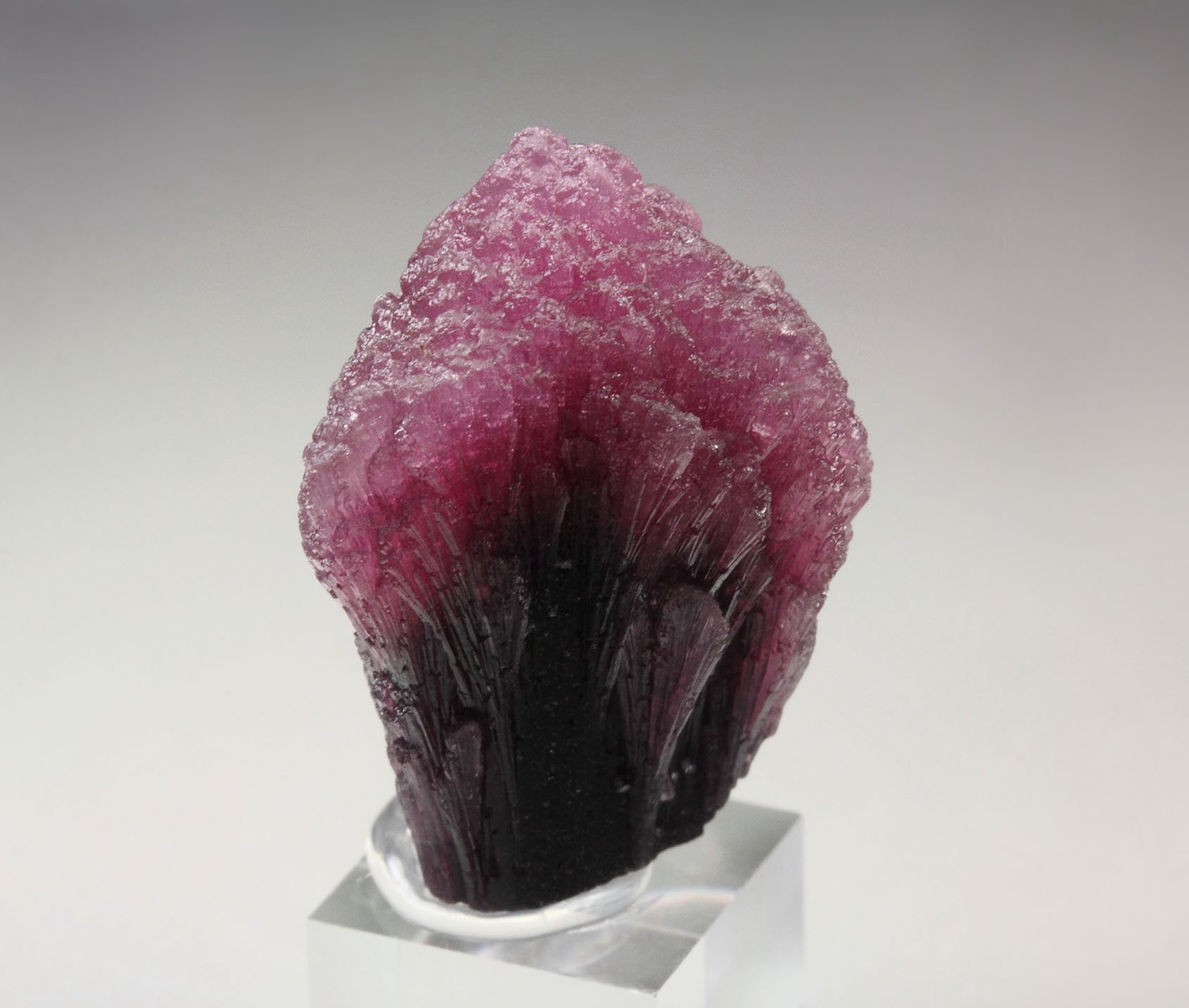 TOURMALINE var. RUBELLITE