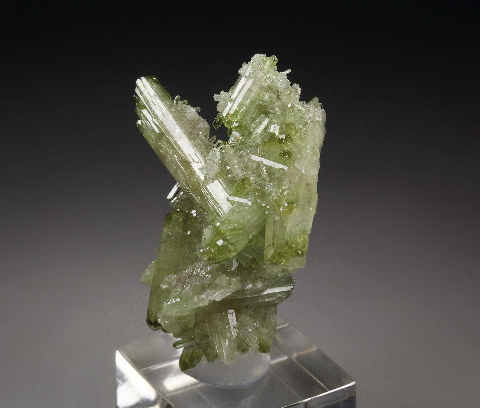 gemmy VESUVIANITE