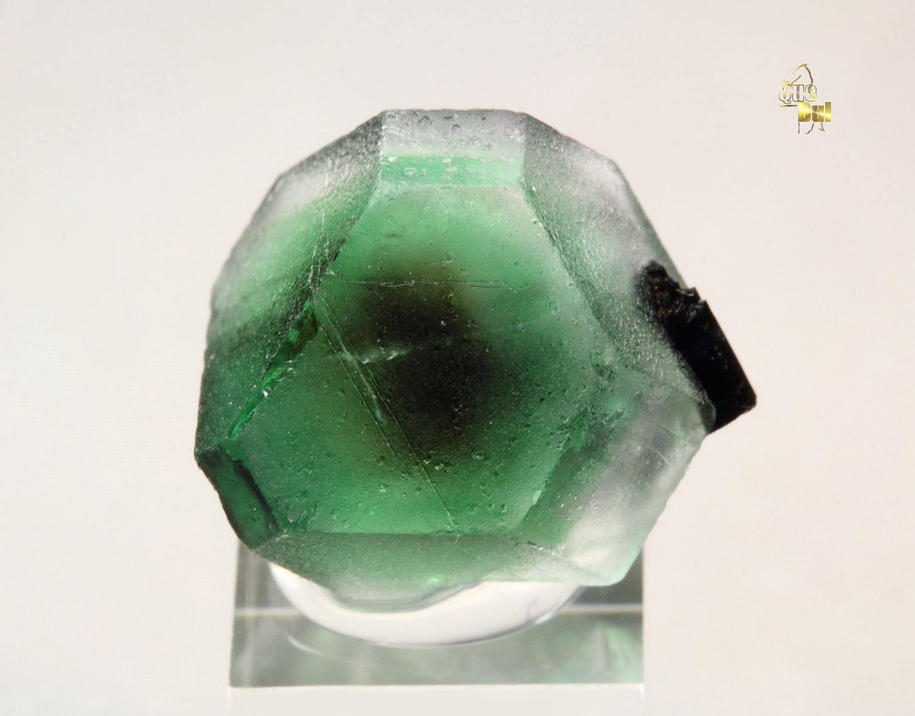 FLUORITE, TOURMALINE var. SCHORL