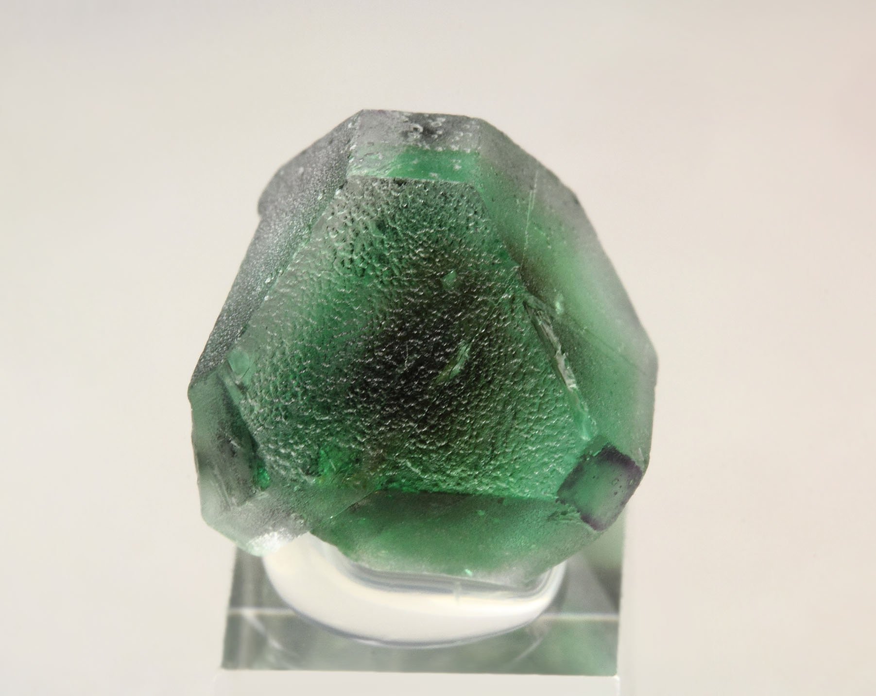 FLUORITE, TOURMALINE var. SCHORL