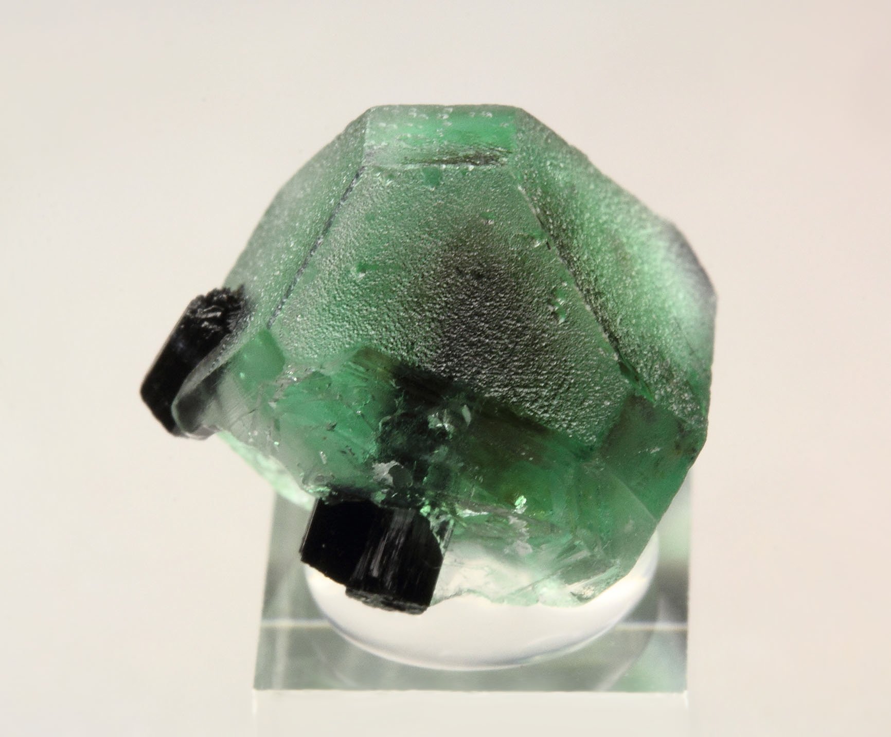 FLUORITE, TOURMALINE var. SCHORL